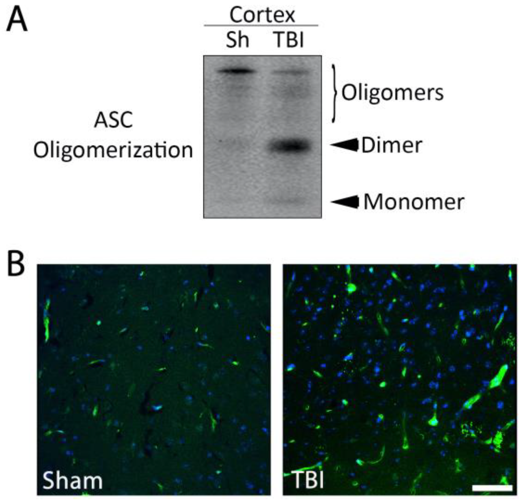 Pharmaceuticals 16 01382 g002