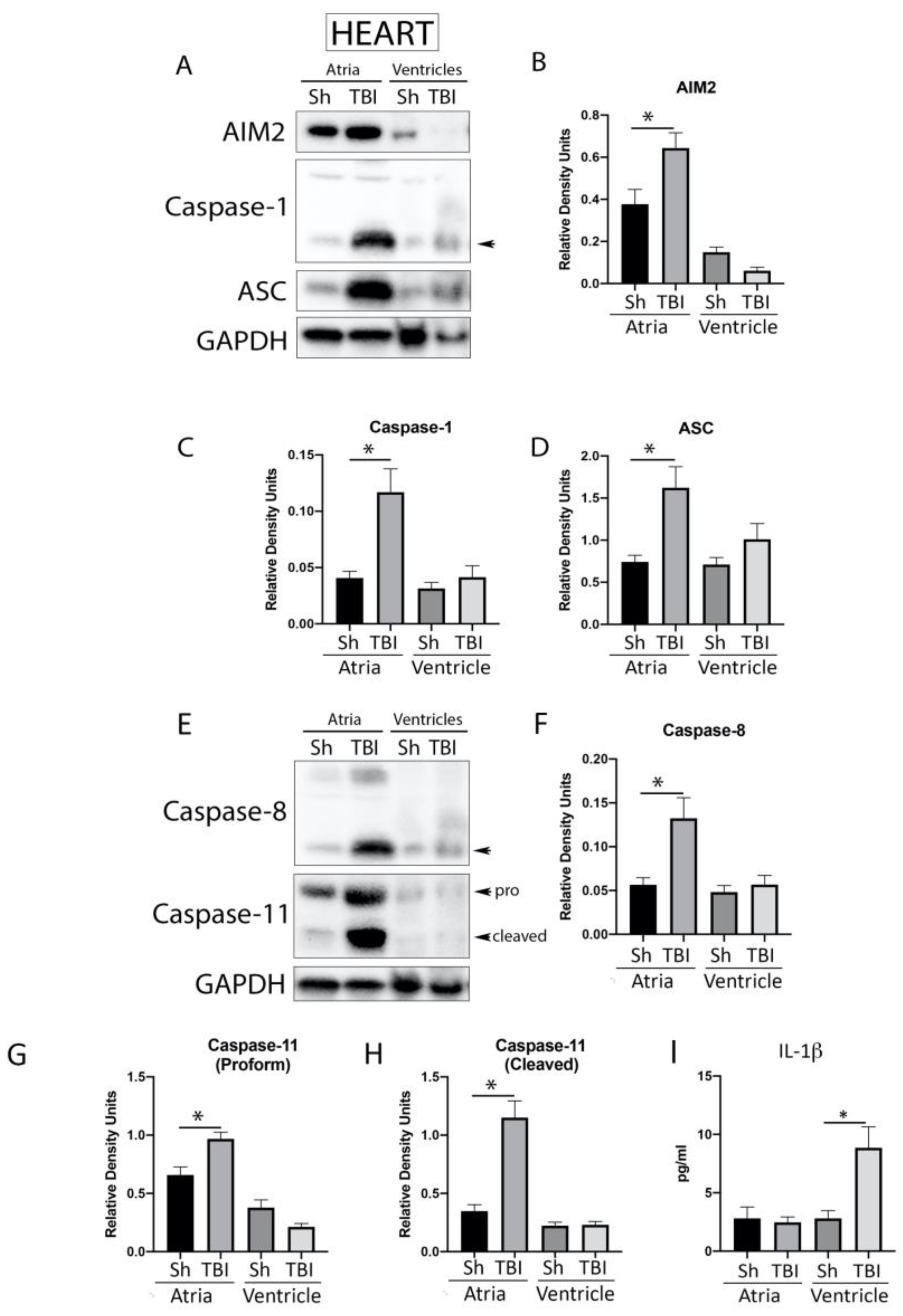 Pharmaceuticals 16 01382 g003