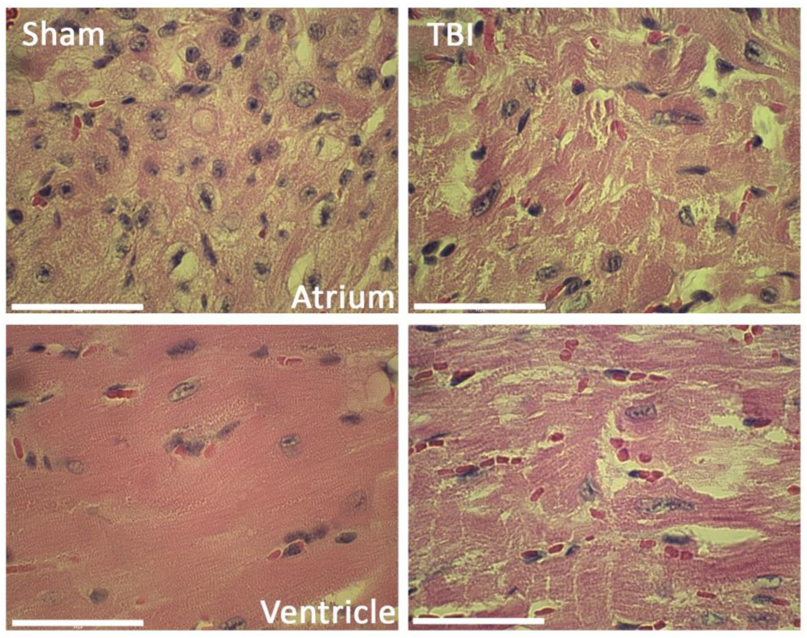 Pharmaceuticals 16 01382 g004
