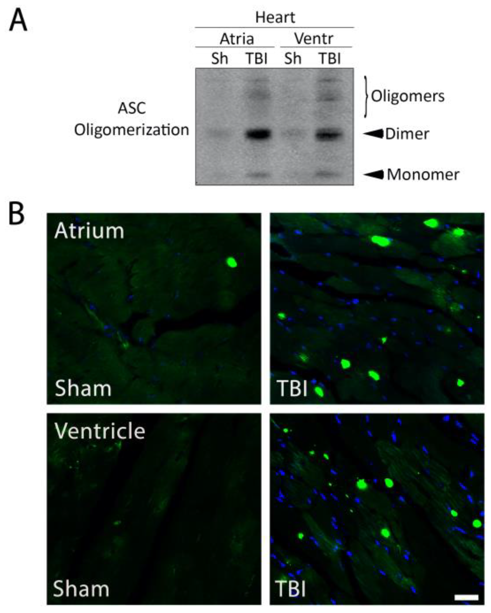 Pharmaceuticals 16 01382 g005