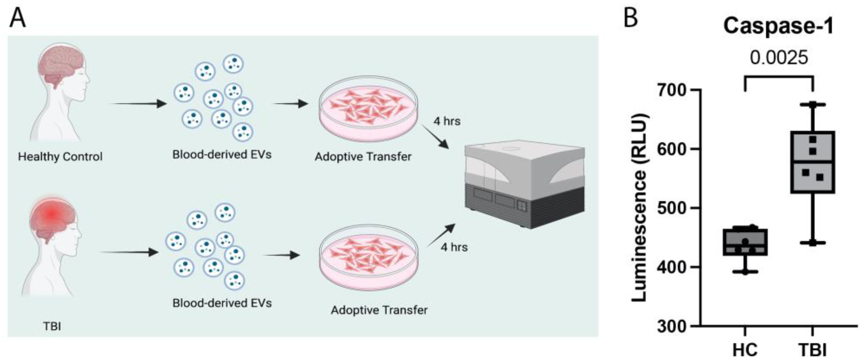 Pharmaceuticals 16 01382 g007