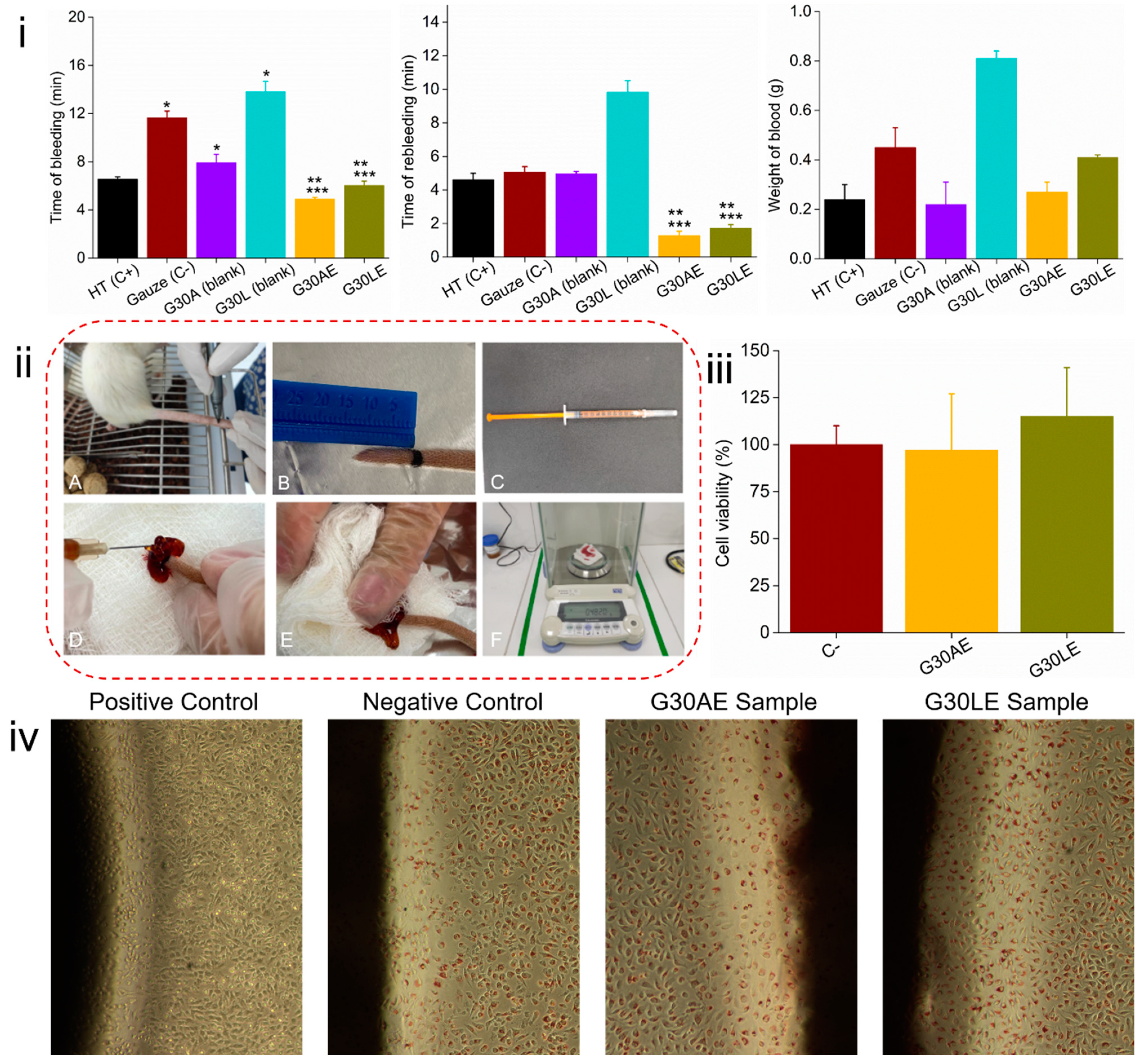 Pharmaceuticals 16 01399 g007