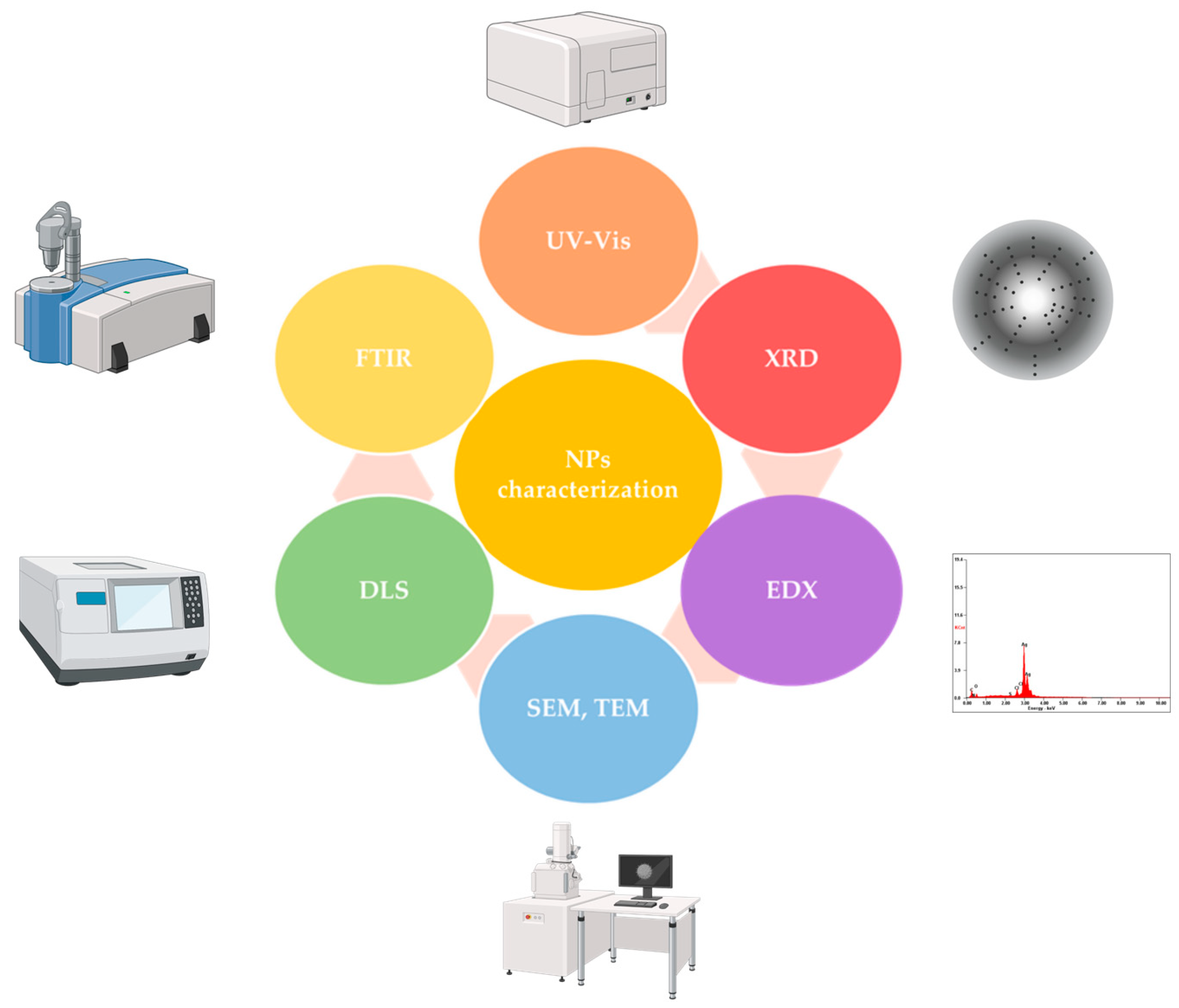 Pharmaceuticals 16 01410 g005