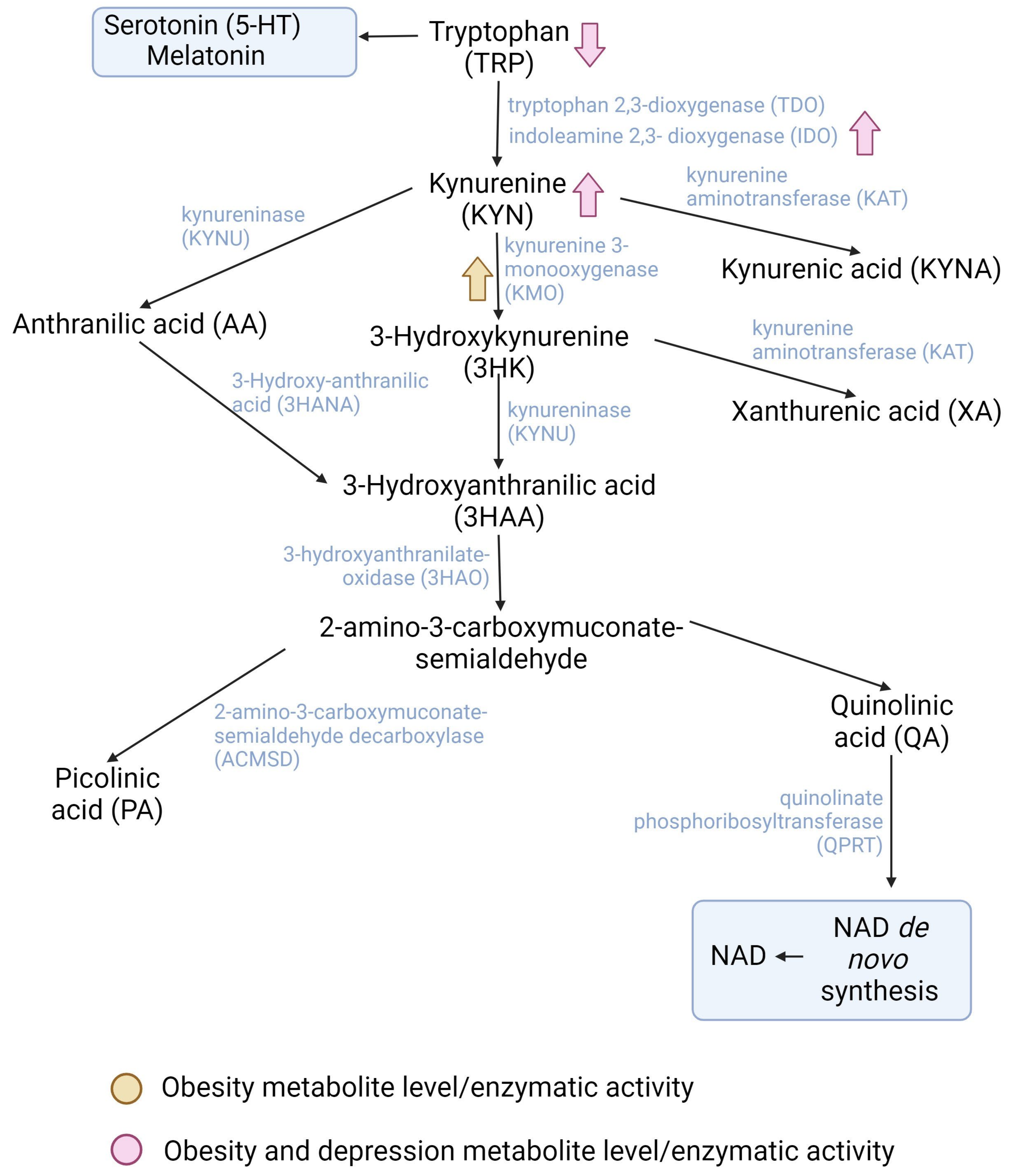 Pharmaceuticals 16 01421 g001