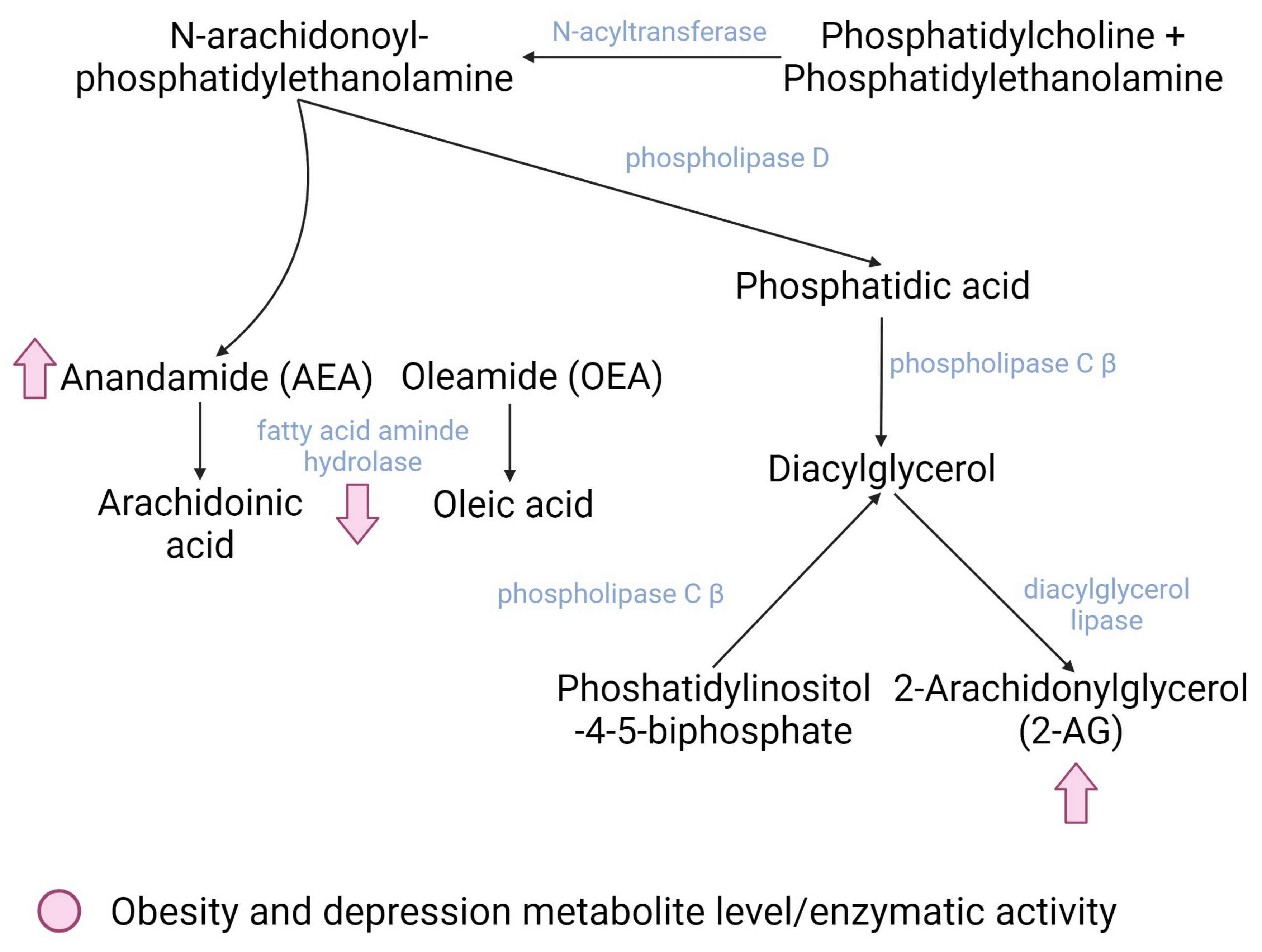Pharmaceuticals 16 01421 g002