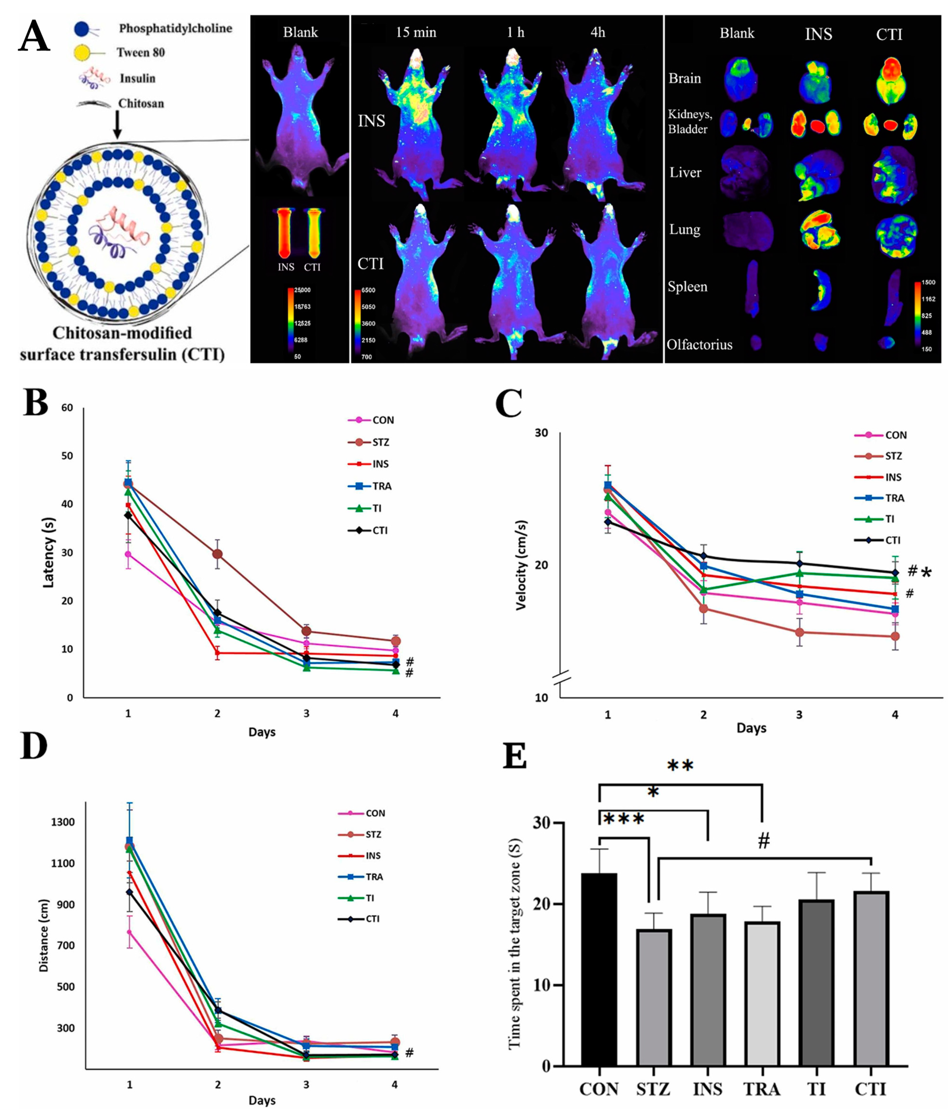 Pharmaceuticals 16 01424 g003