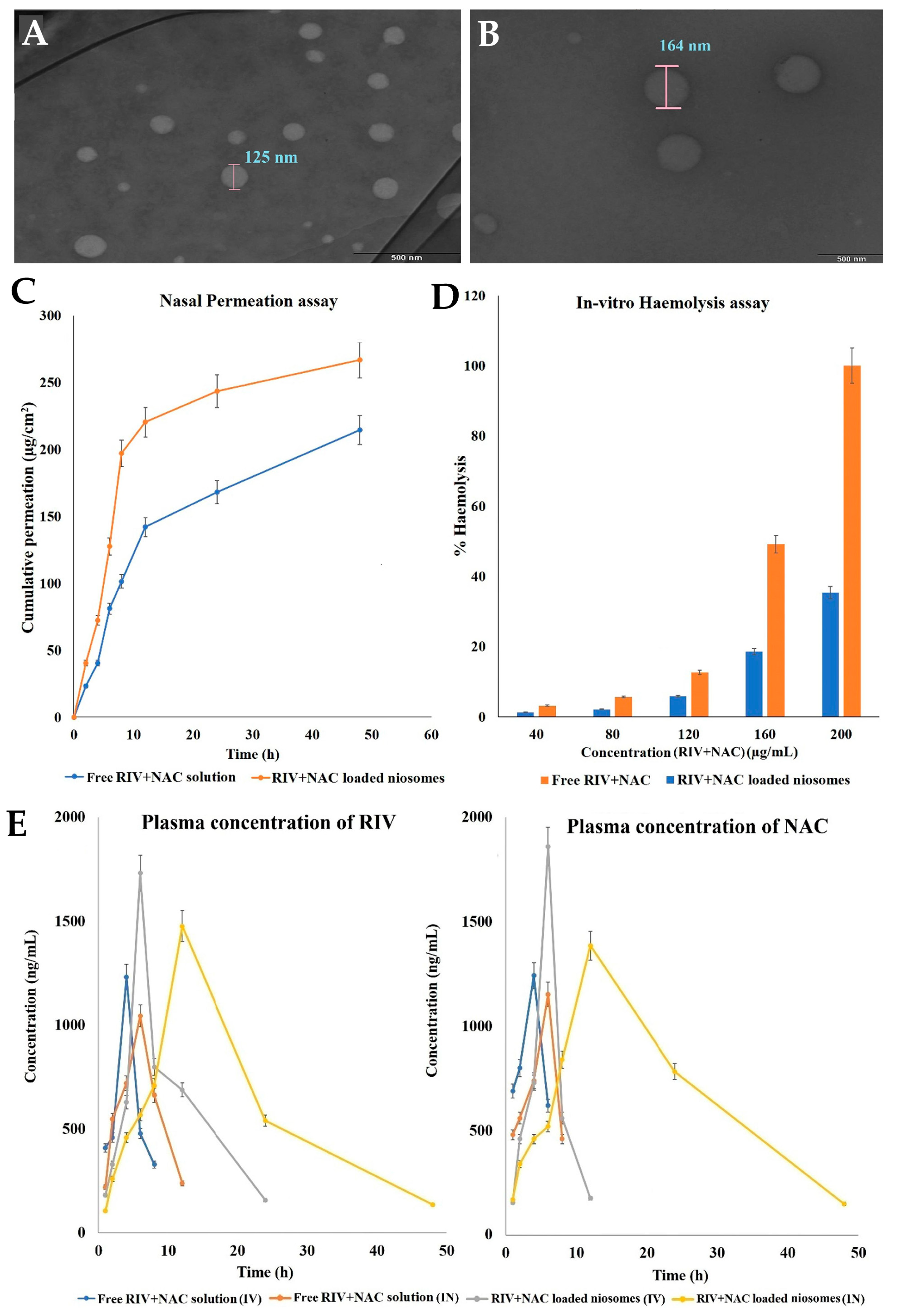 Pharmaceuticals 16 01424 g005