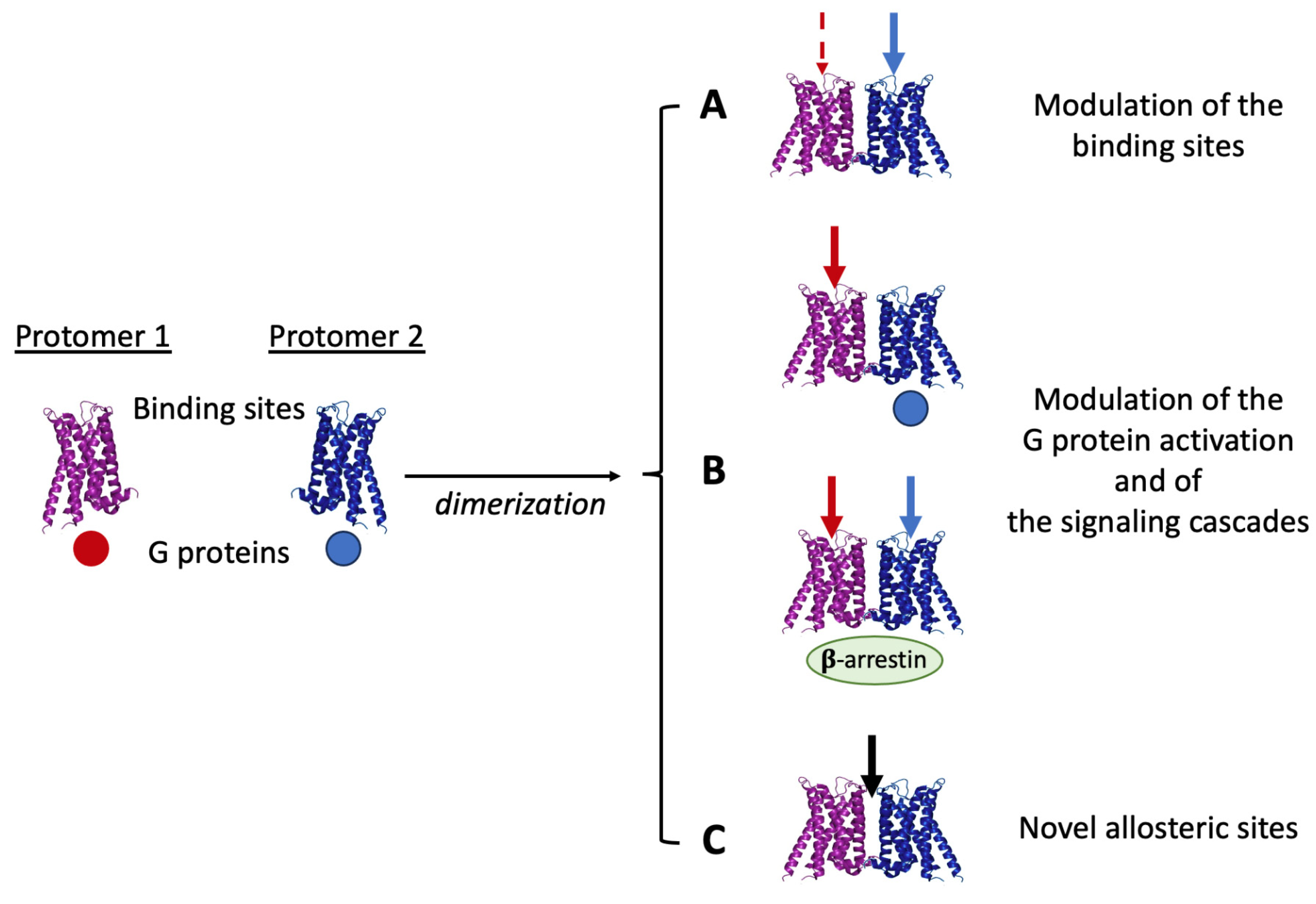Pharmaceuticals 16 01427 g001