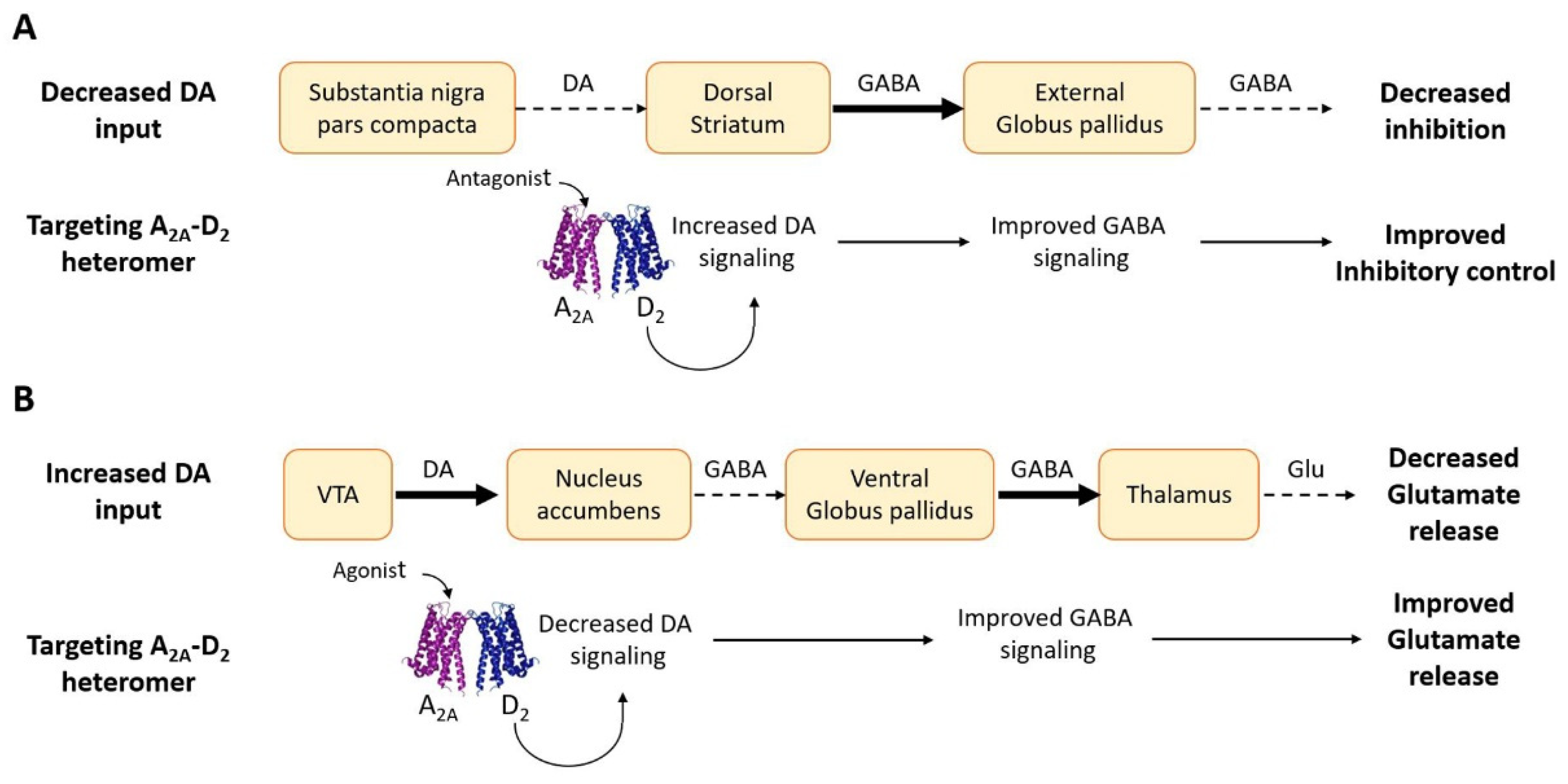 Pharmaceuticals 16 01427 g003