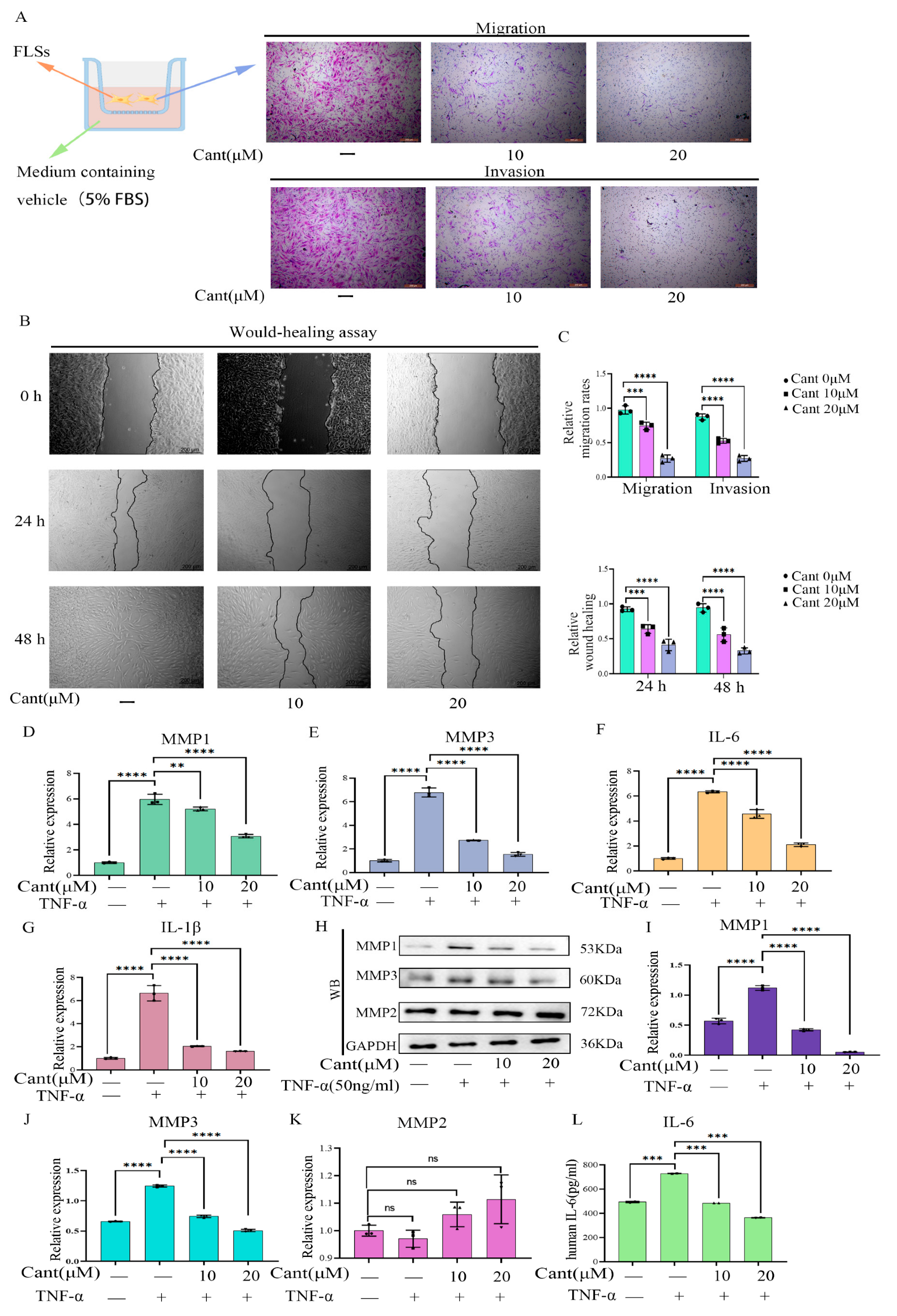 Pharmaceuticals 16 01440 g002