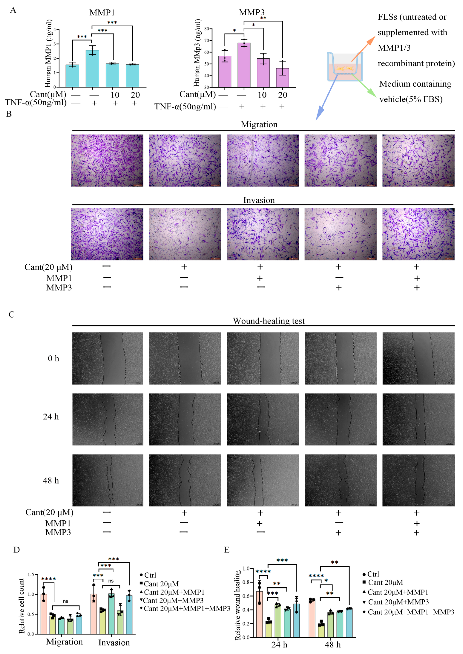 Pharmaceuticals 16 01440 g003