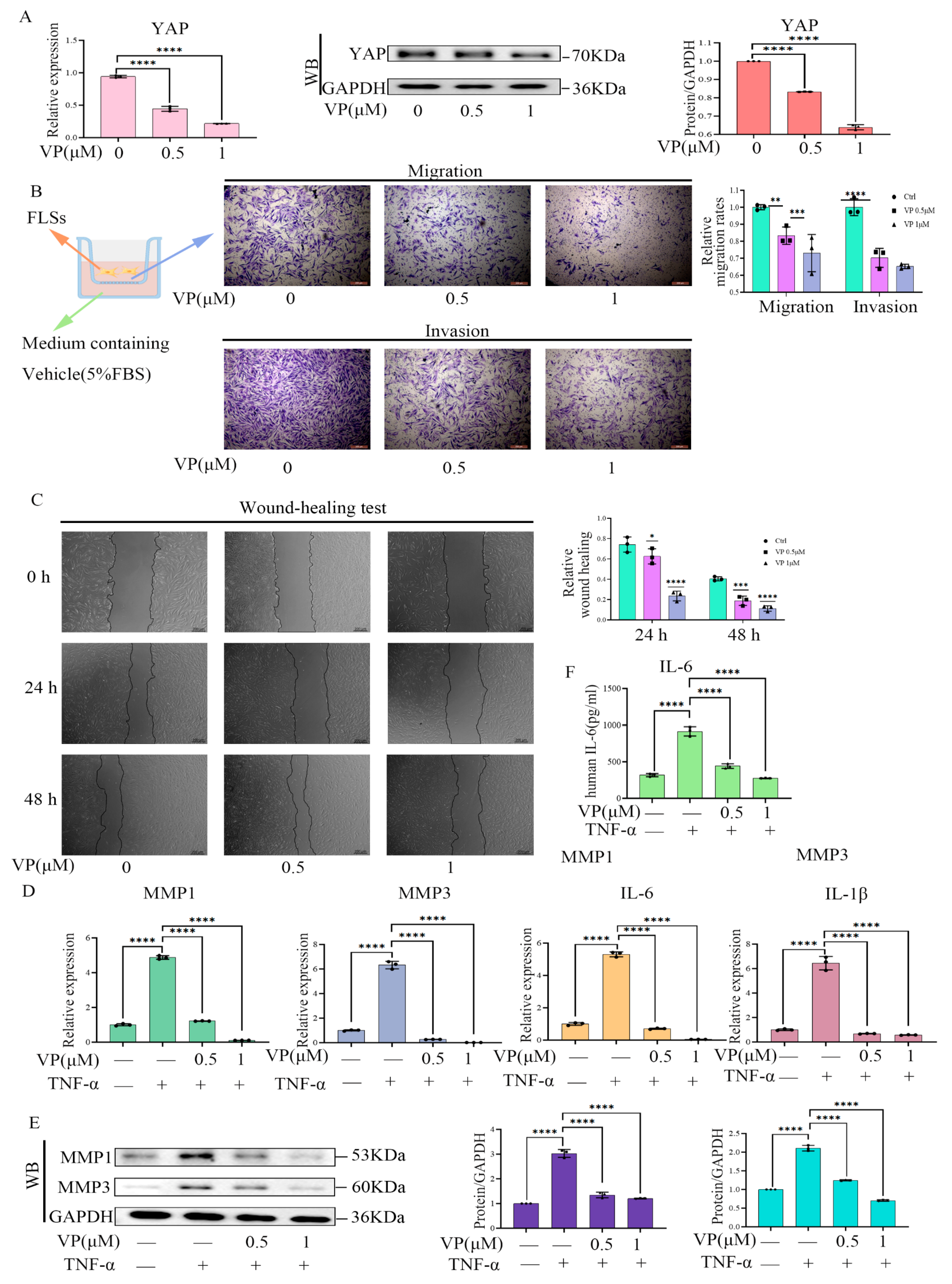 Pharmaceuticals 16 01440 g006