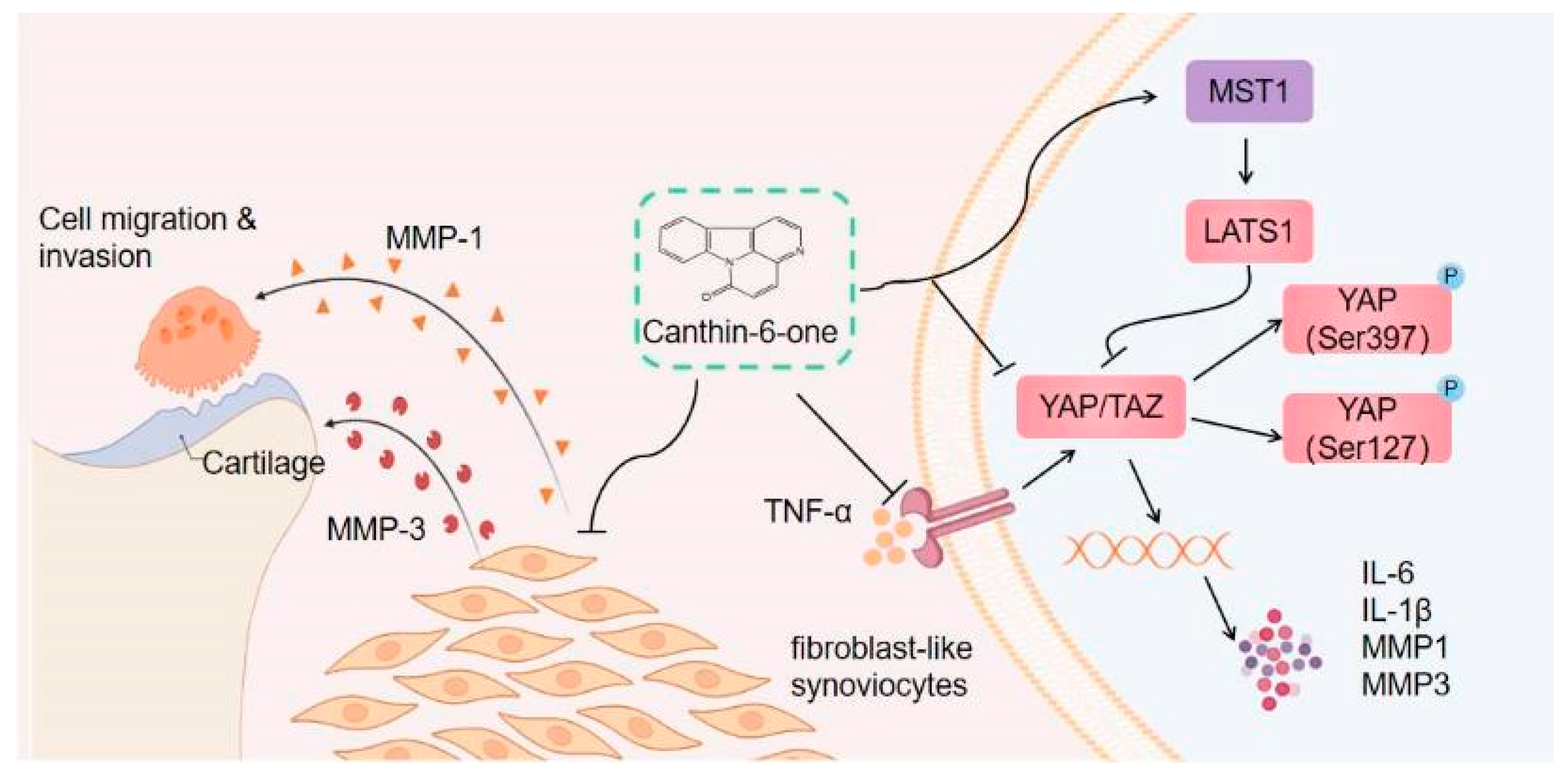 Pharmaceuticals 16 01440 g008