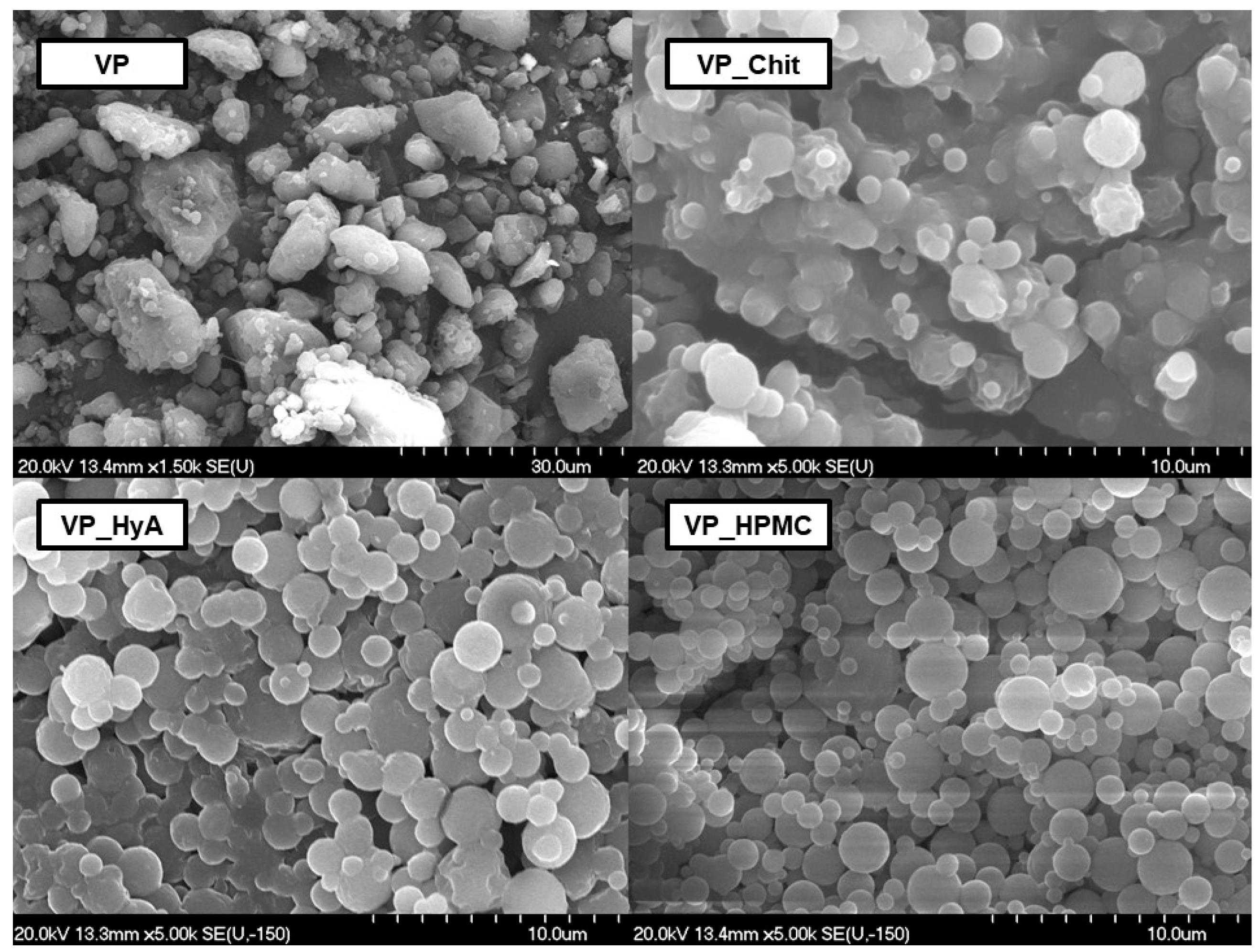 Pharmaceuticals 16 01447 g002