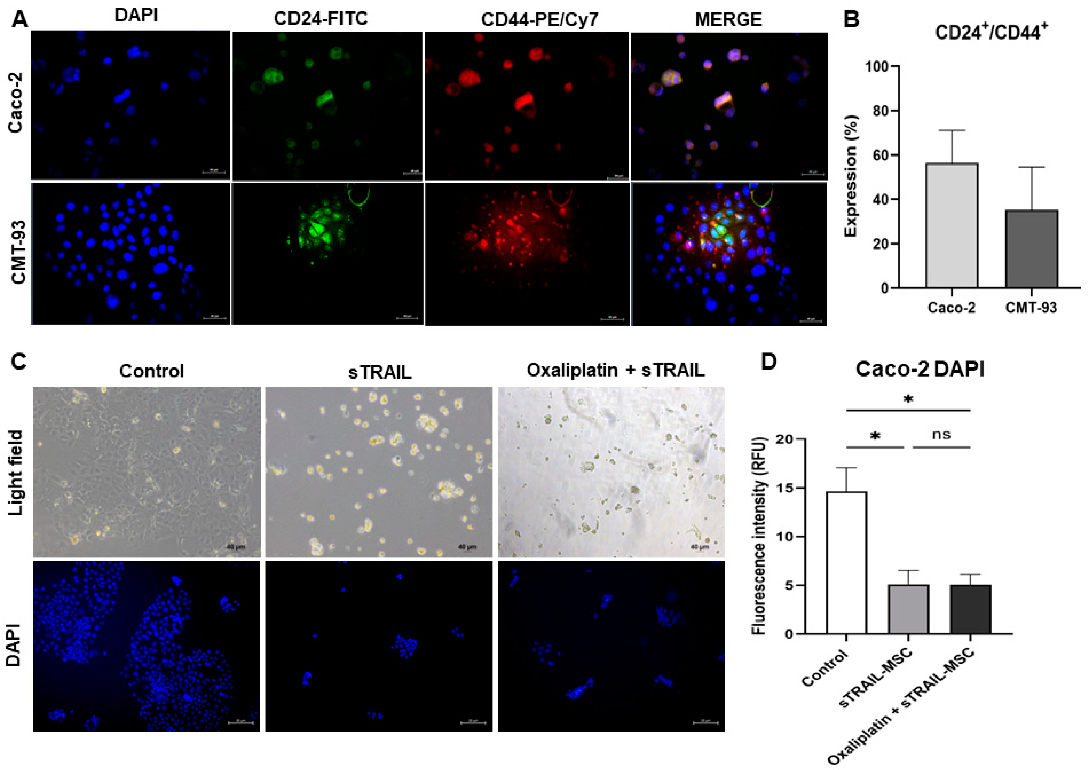 Pharmaceuticals 16 01448 g005
