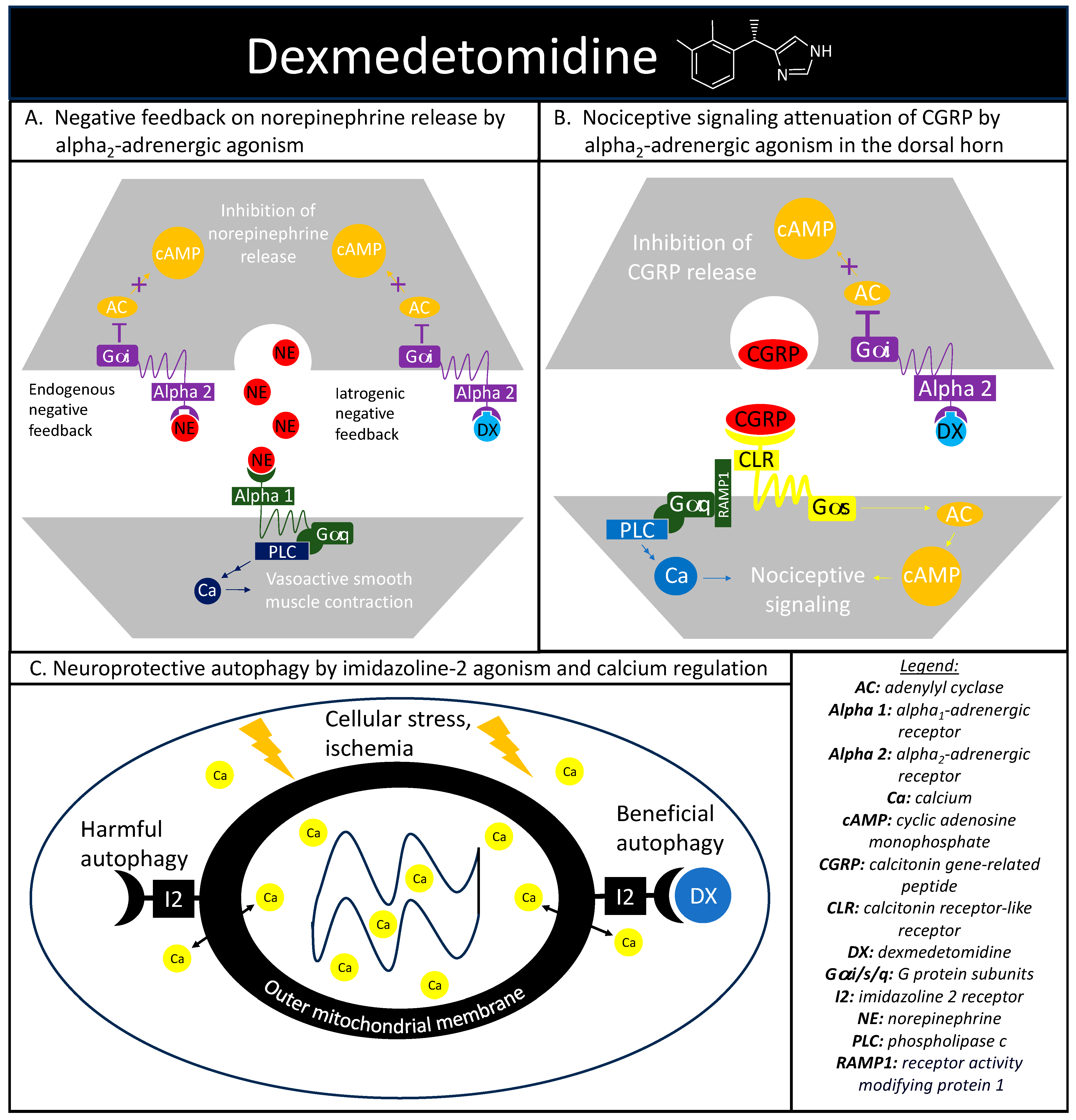 Pharmaceuticals 16 01453 g002