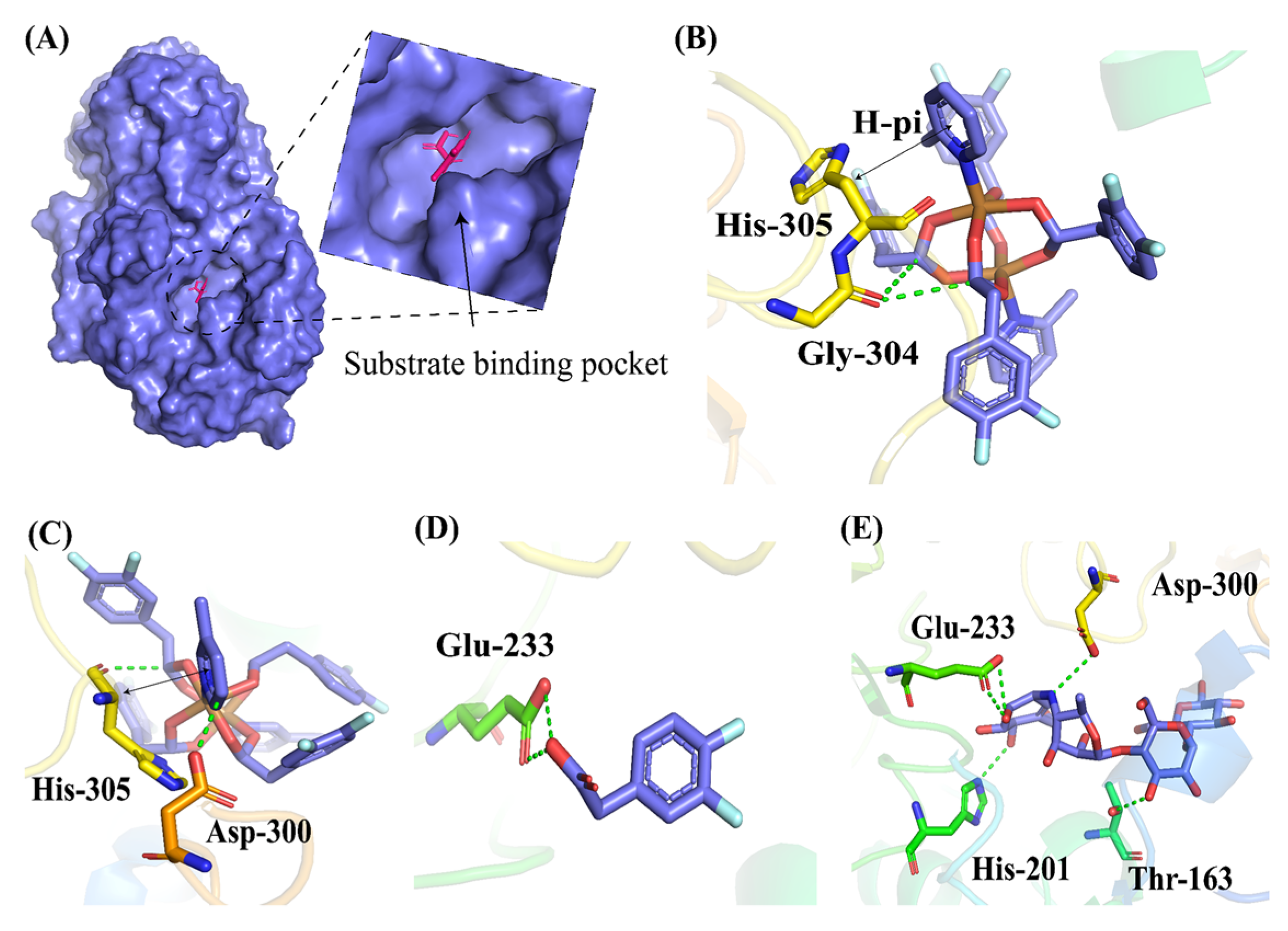 Pharmaceuticals 16 01462 g006