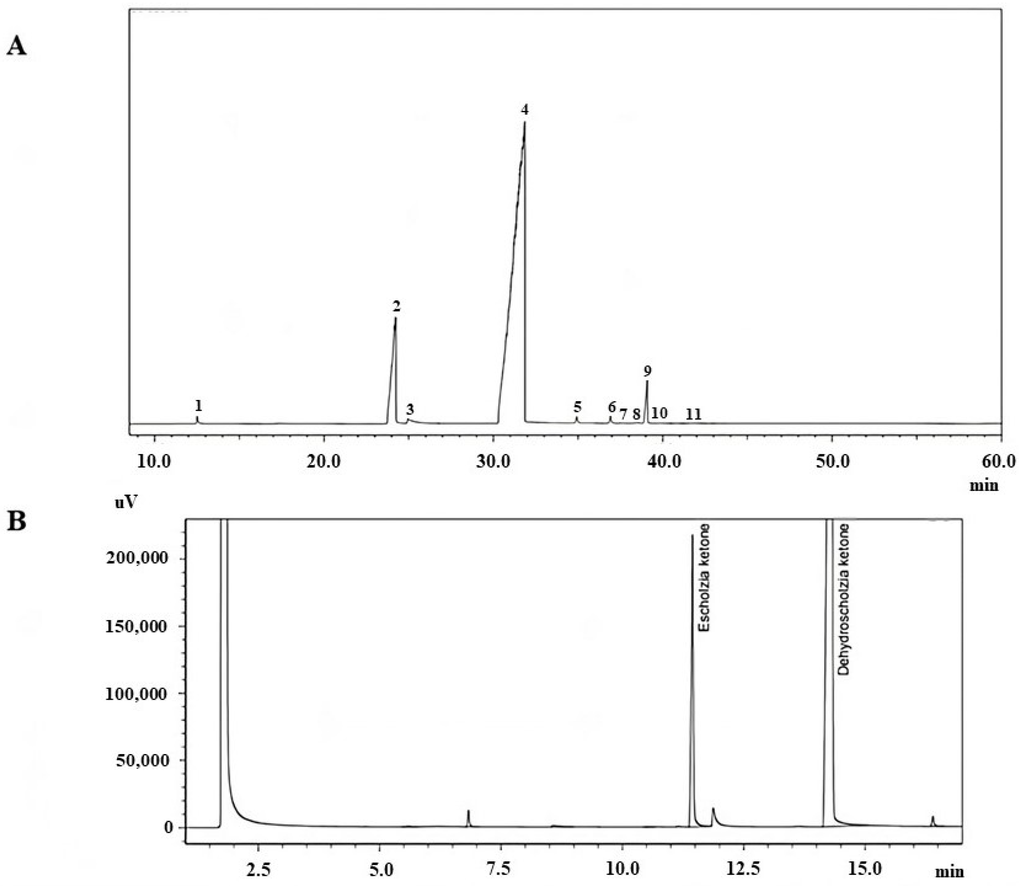 Pharmaceuticals 16 01464 g002 Pharmaceuticals 16 01464 g002