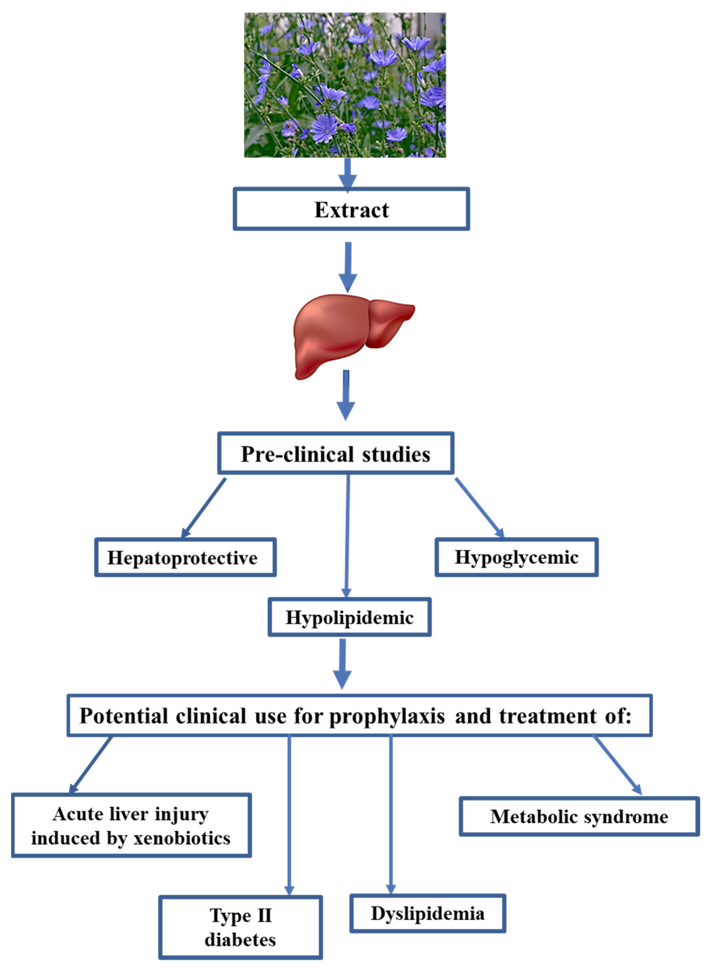 Pharmaceuticals 16 01471 g003