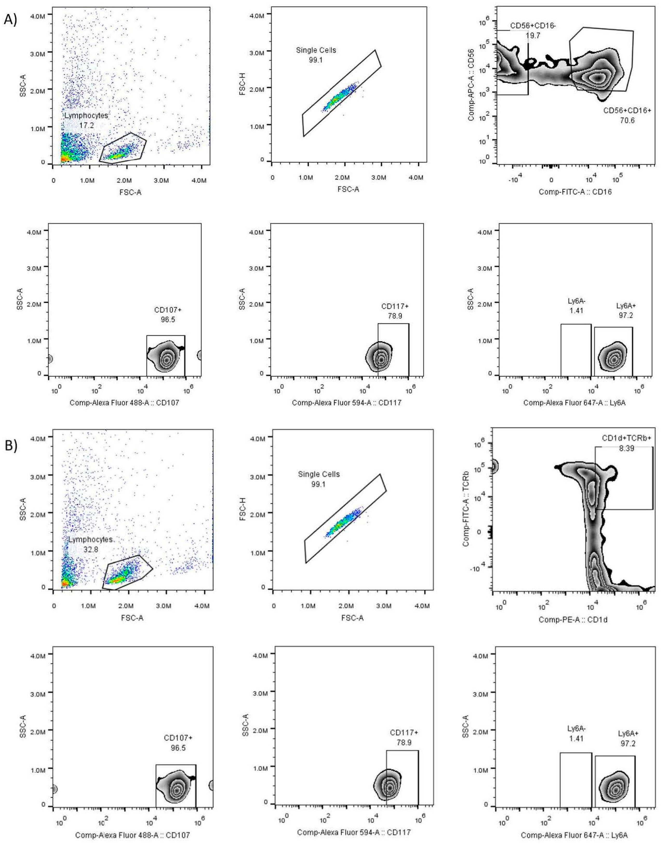 Pharmaceuticals 16 01472 g001