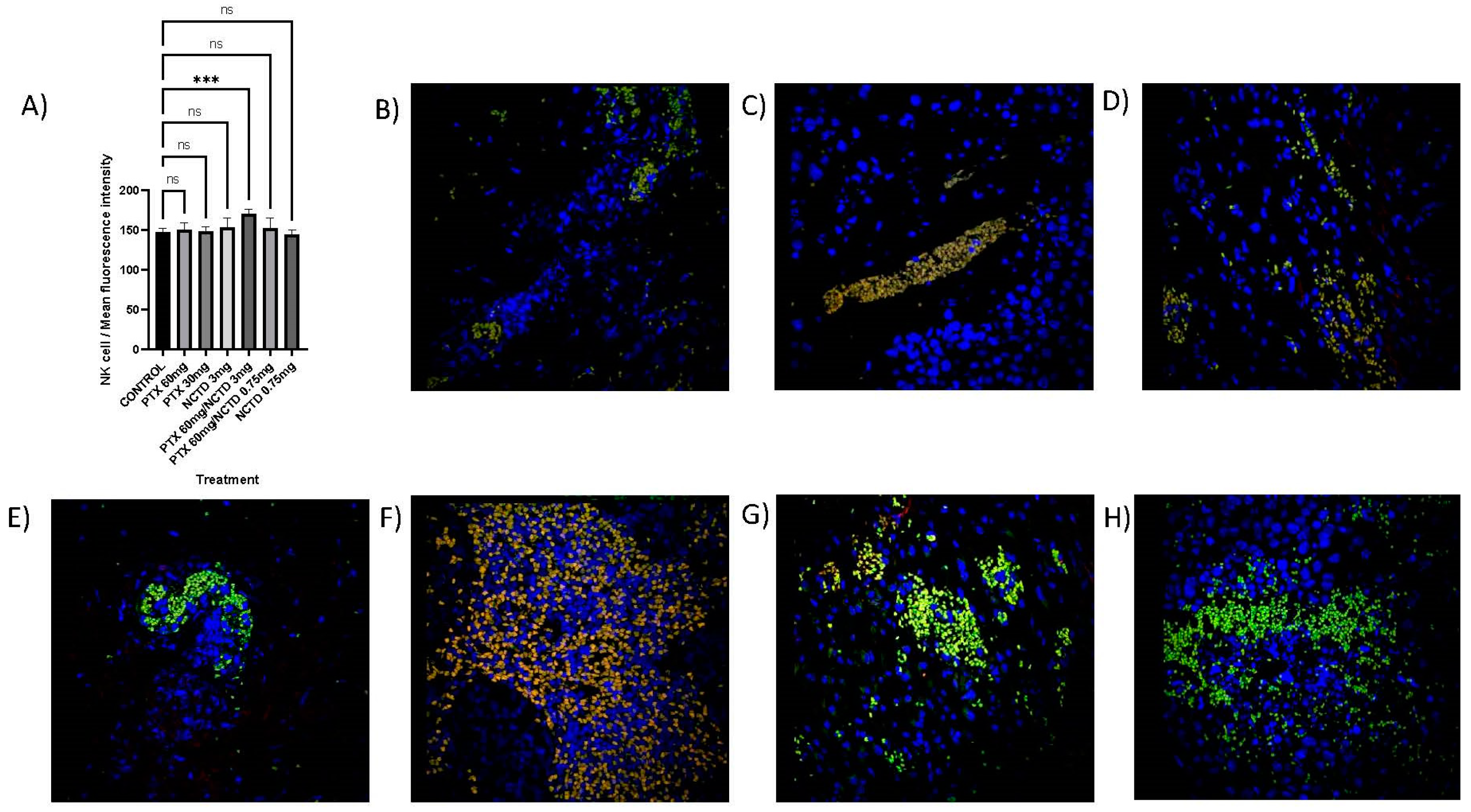 Pharmaceuticals 16 01472 g005