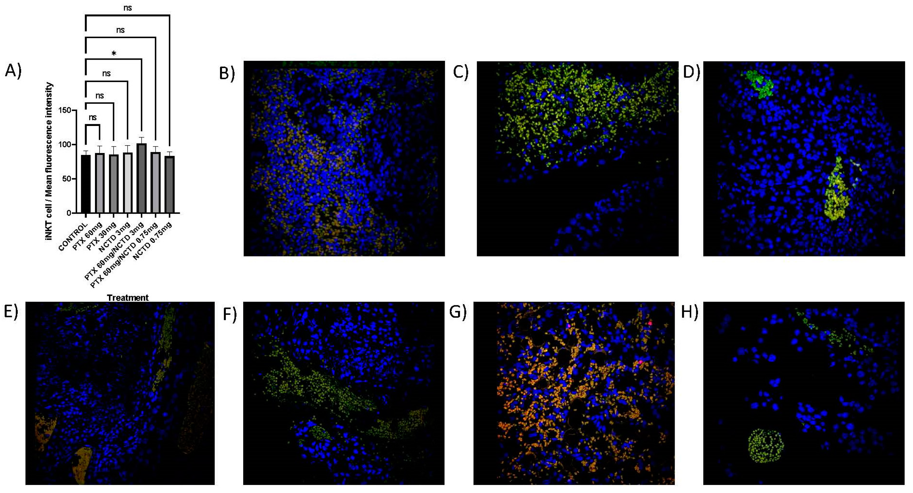 Pharmaceuticals 16 01472 g006