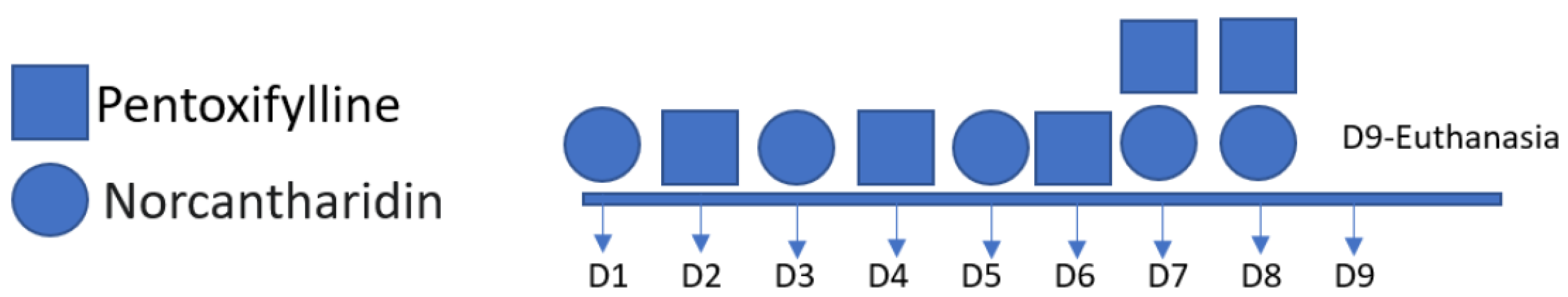 Pharmaceuticals 16 01472 g007