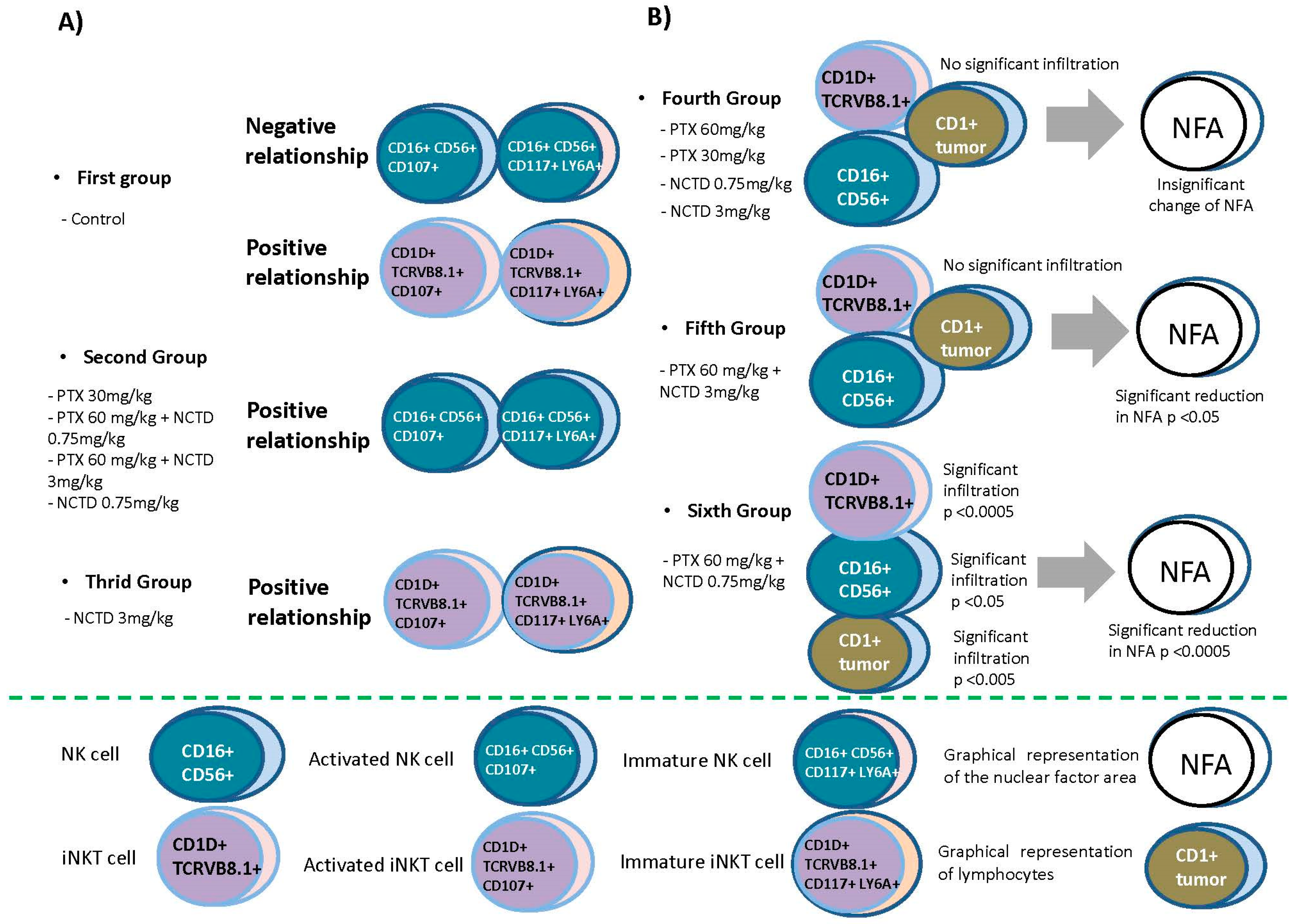Pharmaceuticals 16 01472 g008