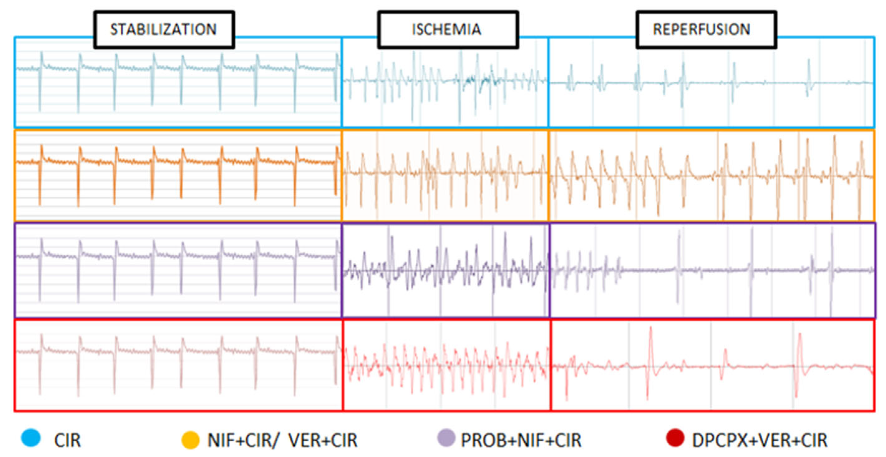 Pharmaceuticals 16 01473 g001