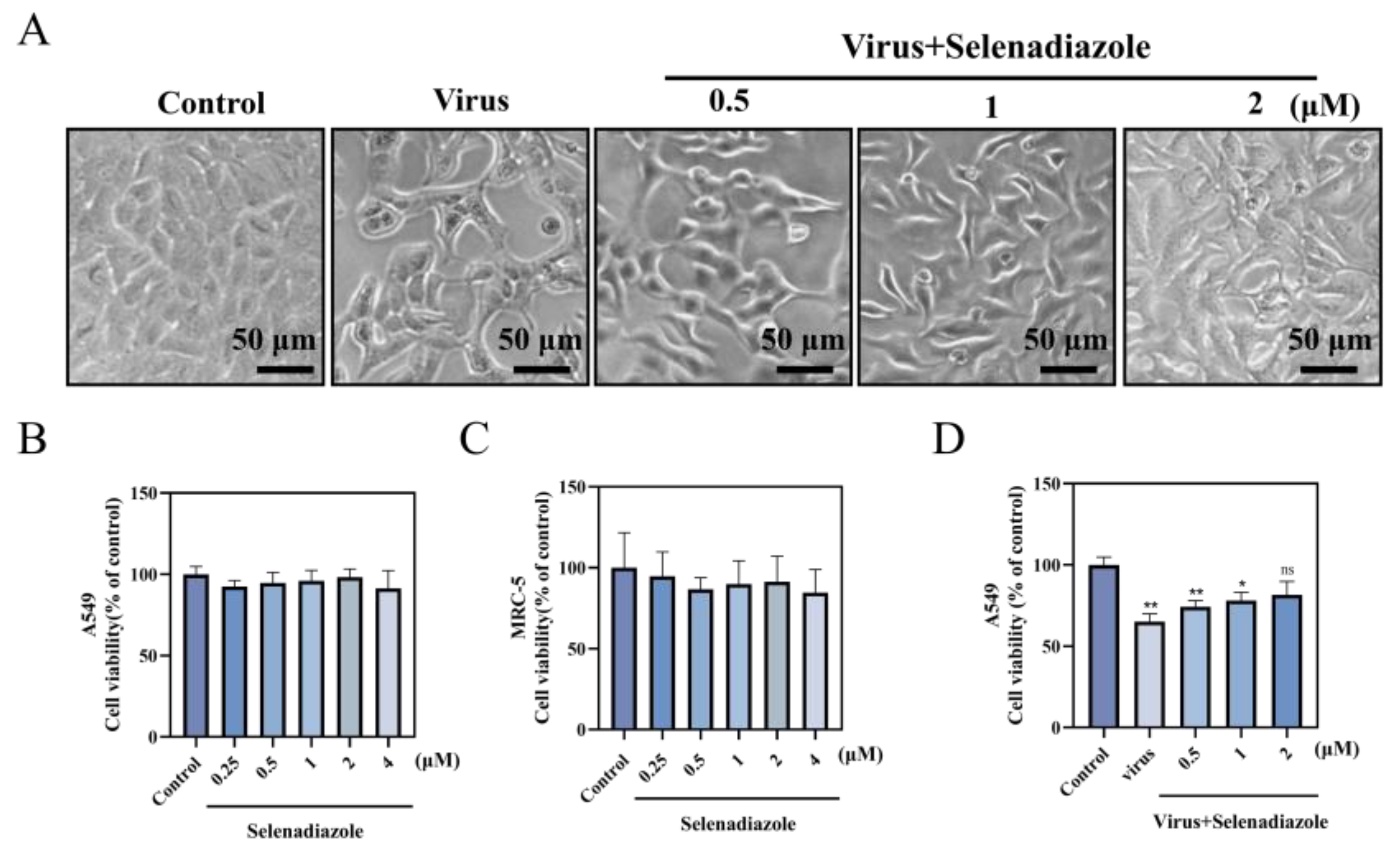 Pharmaceuticals 16 01474 g001