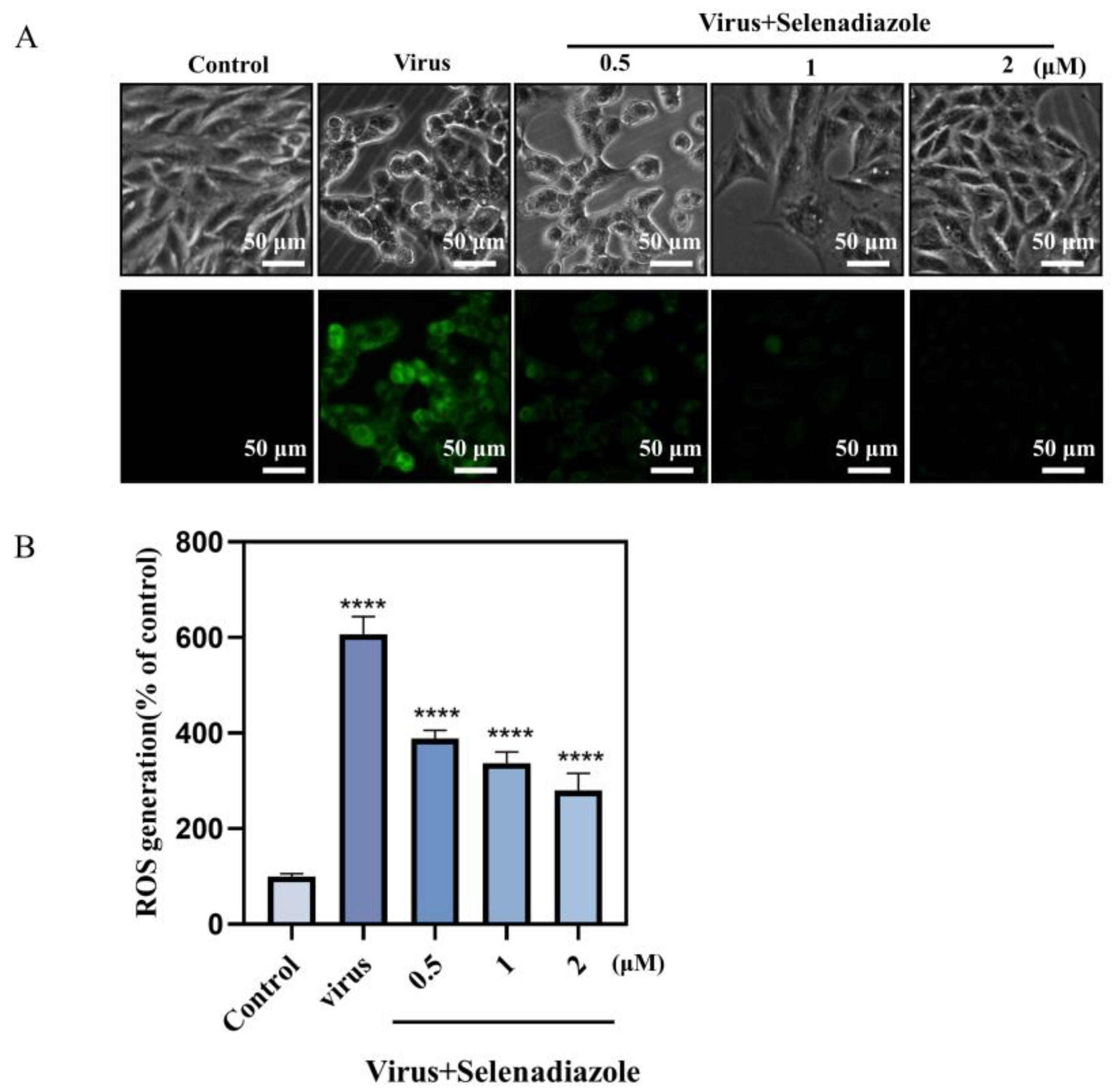 Pharmaceuticals 16 01474 g002