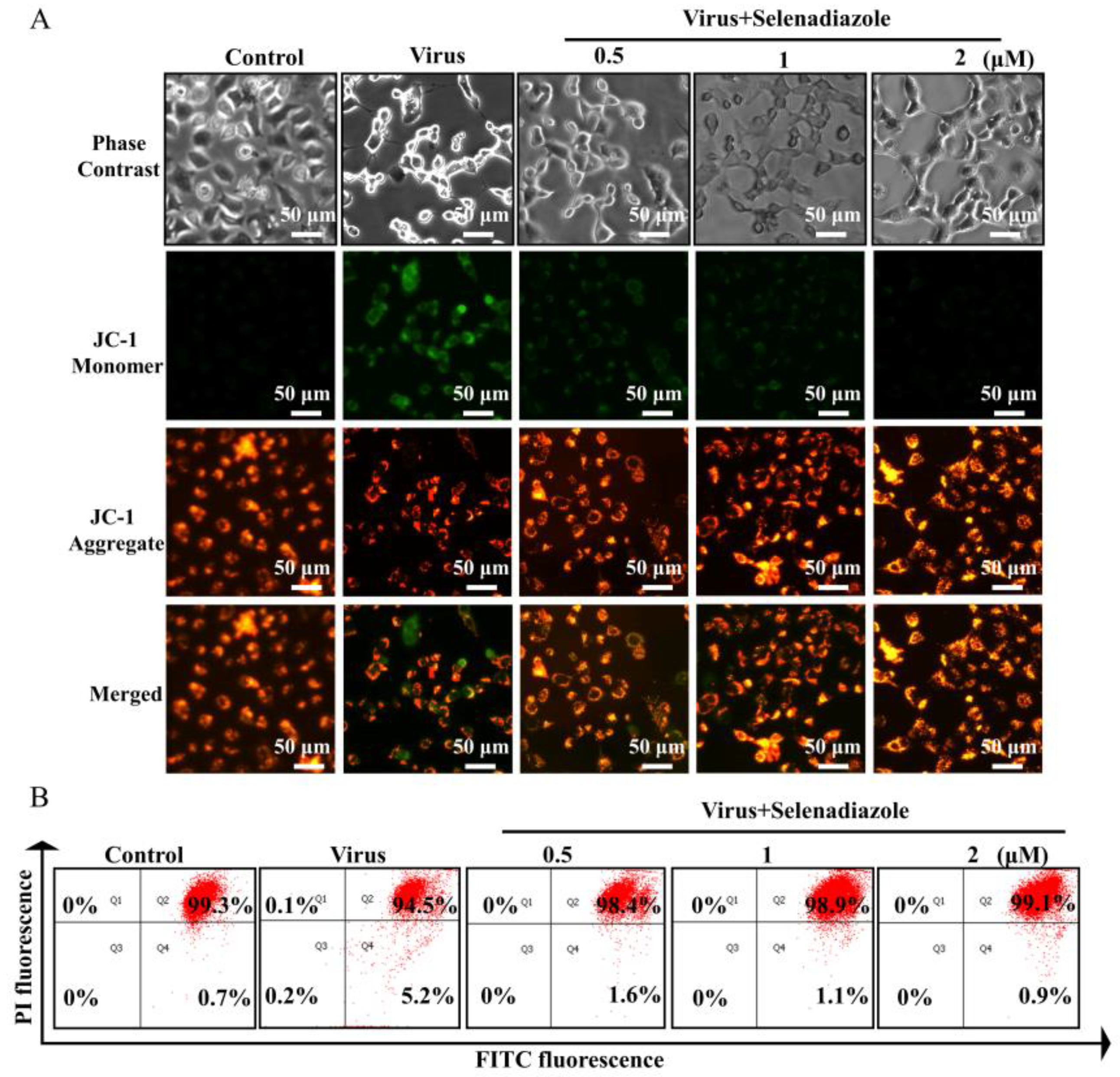 Pharmaceuticals 16 01474 g003