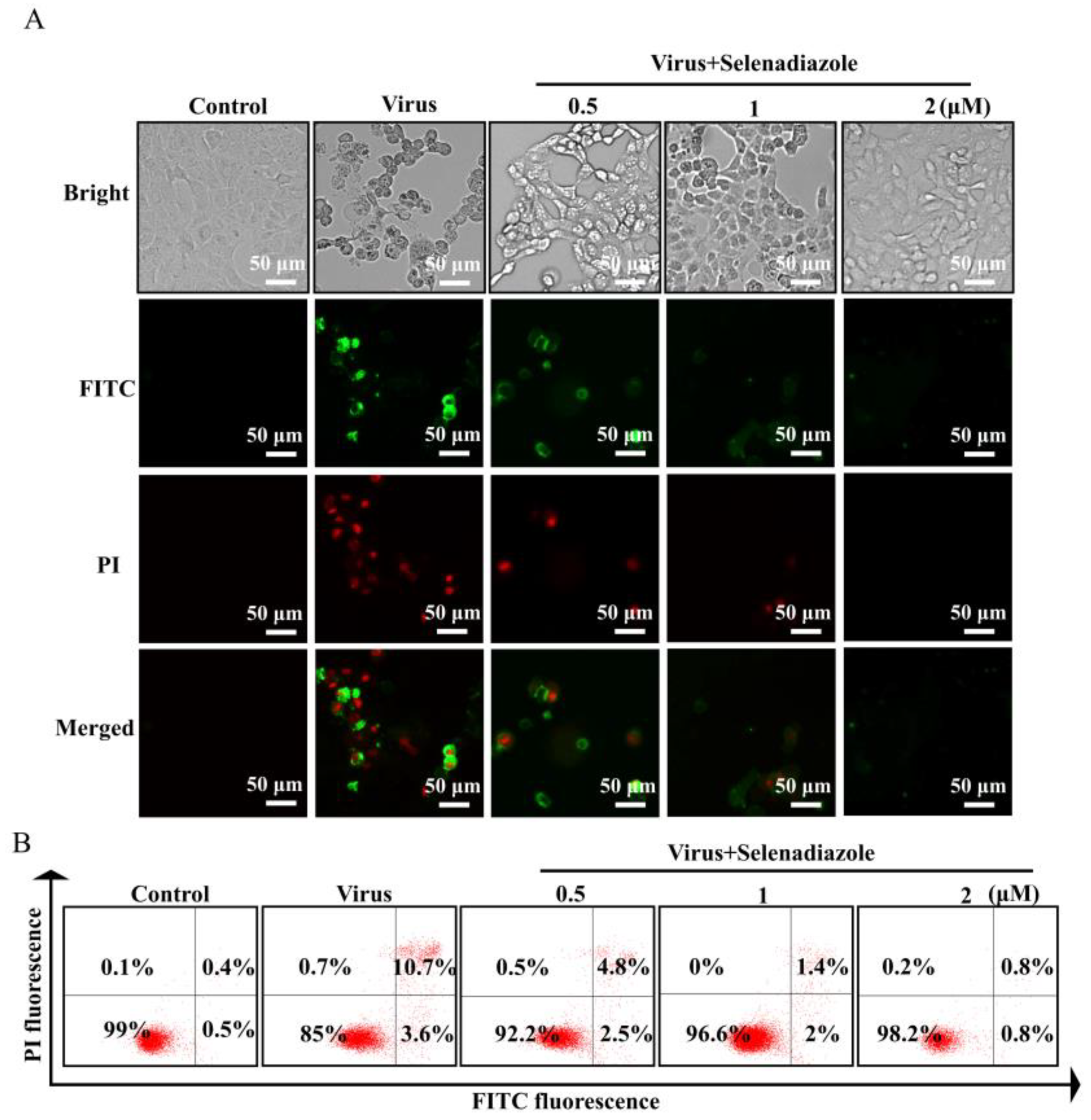 Pharmaceuticals 16 01474 g004