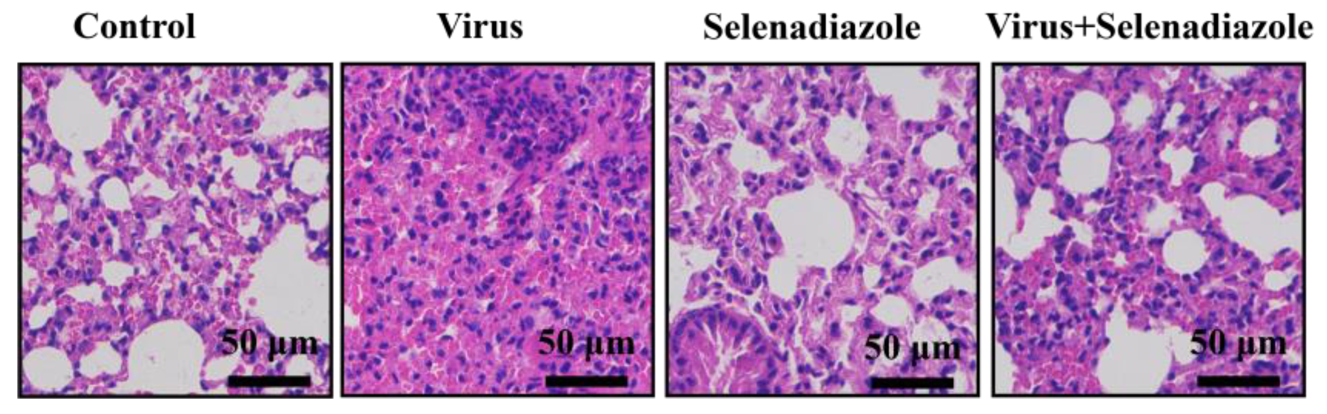 Pharmaceuticals 16 01474 g005