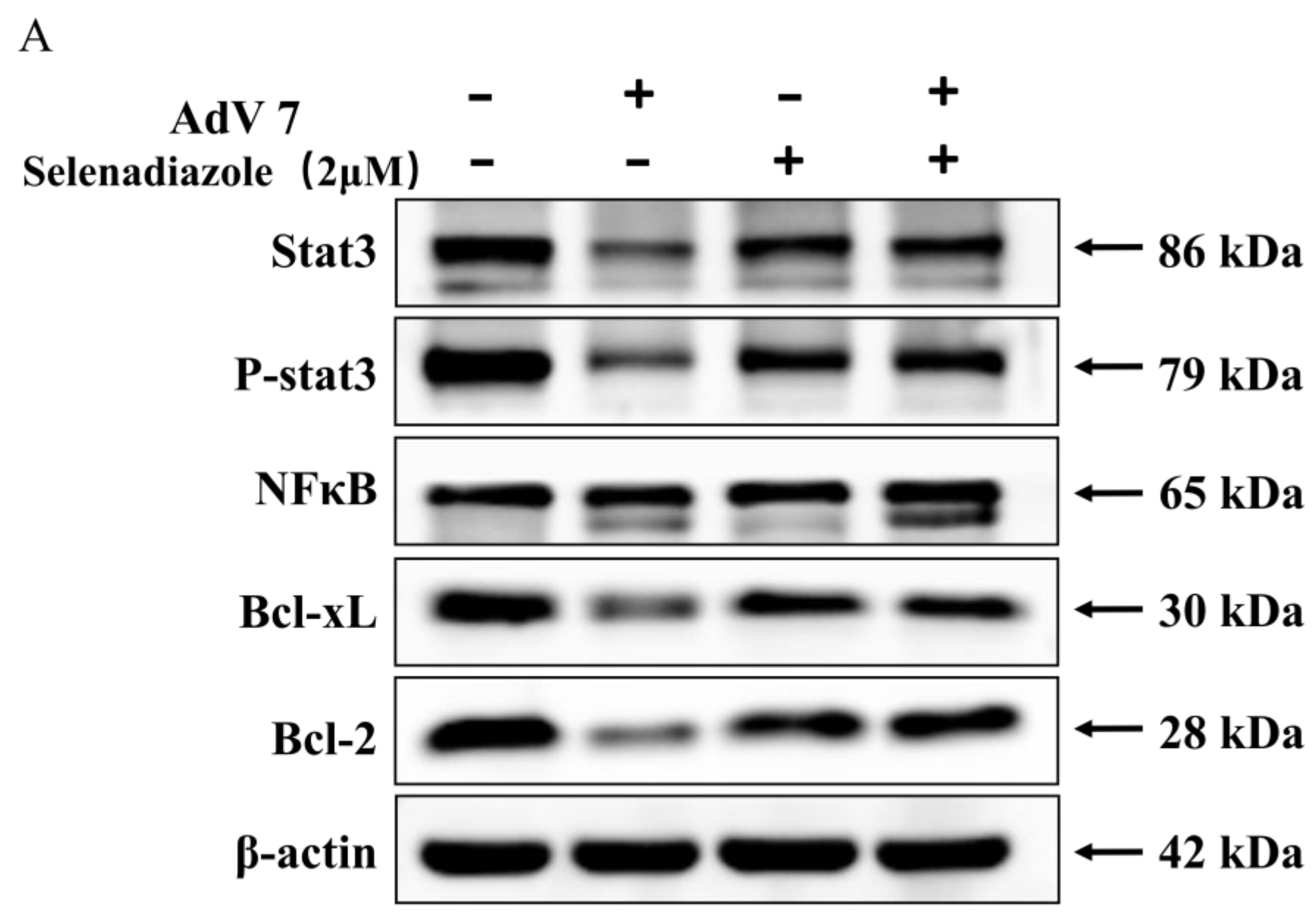 Pharmaceuticals 16 01474 g006a