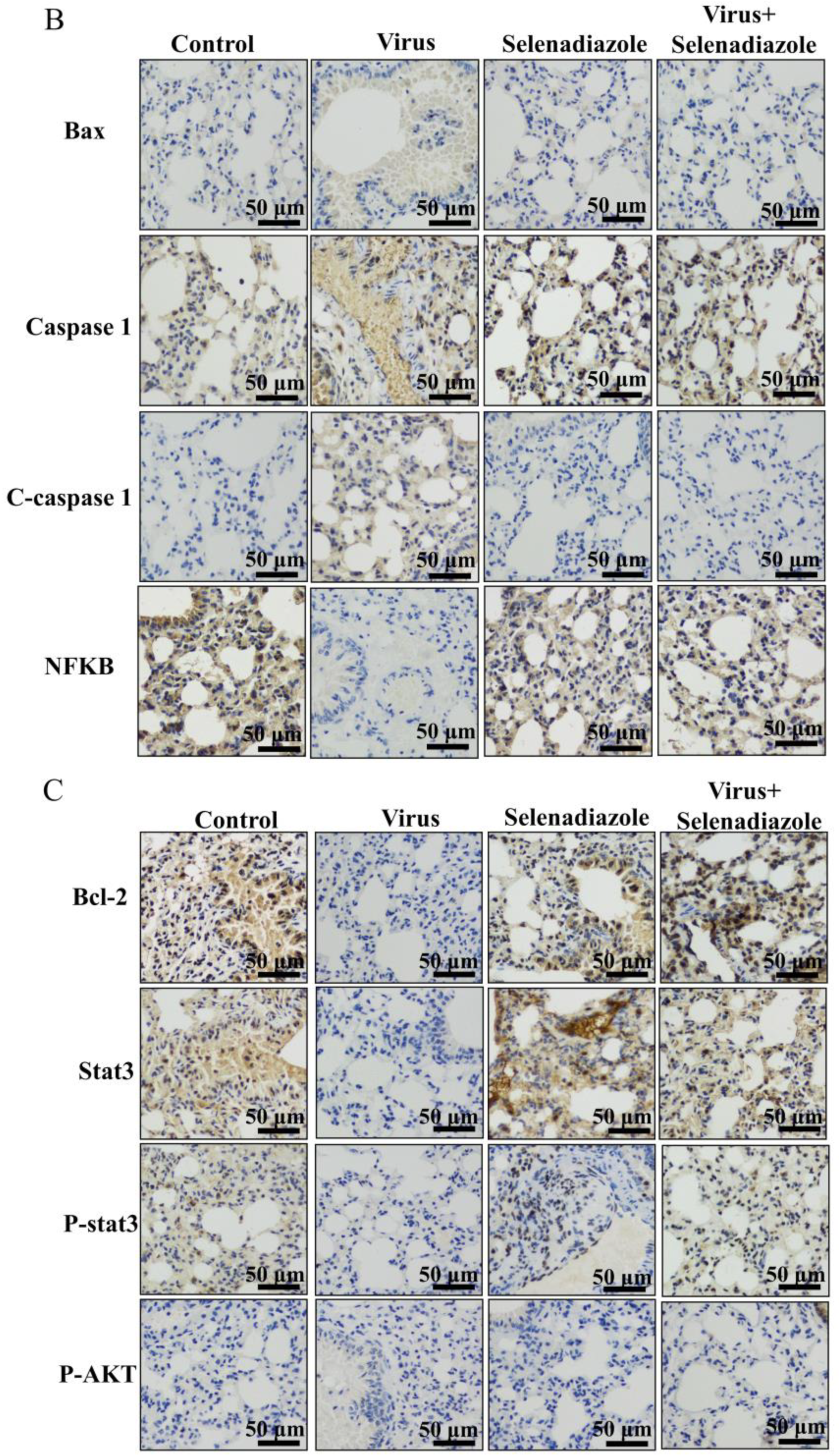 Pharmaceuticals 16 01474 g006b