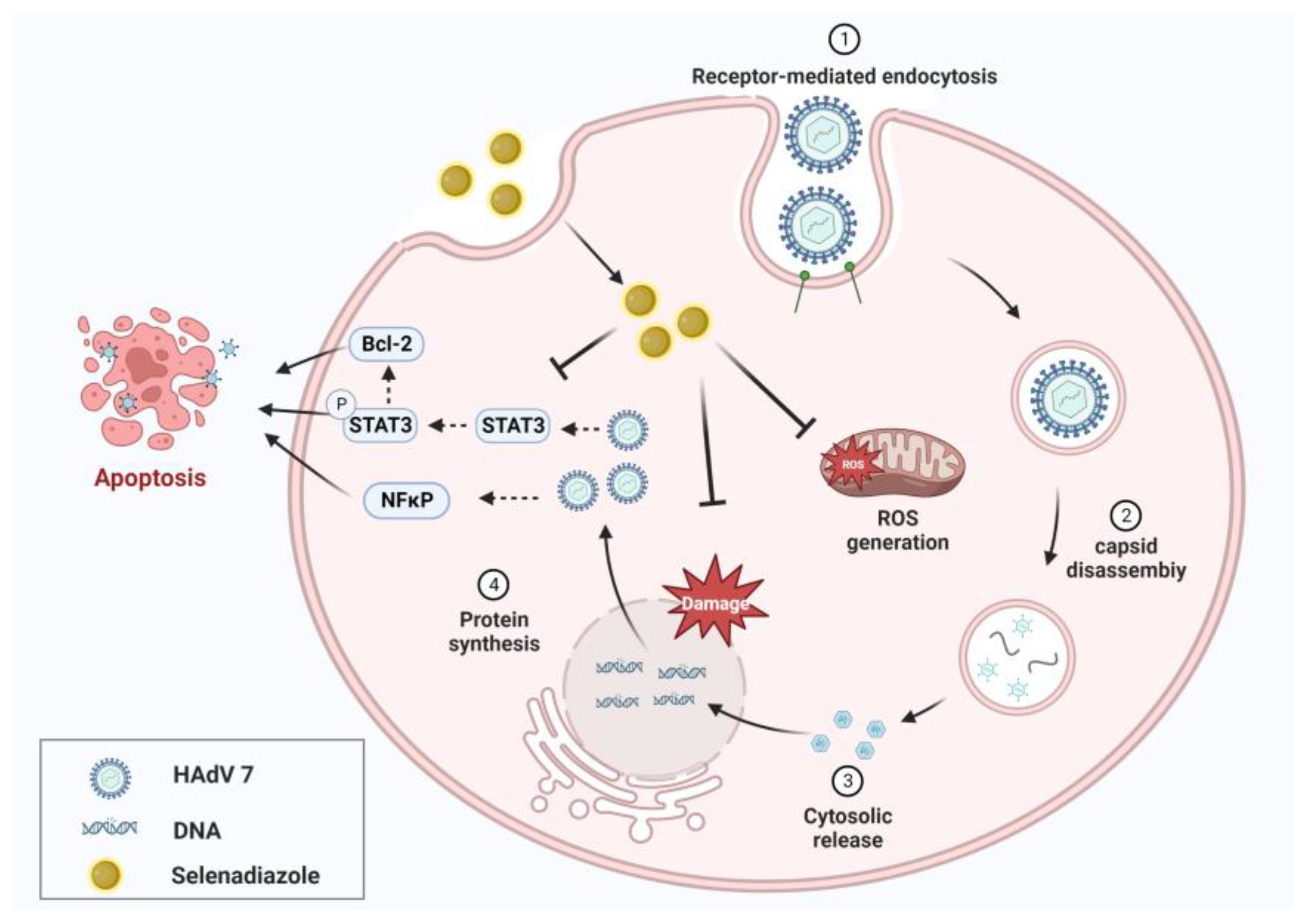 Pharmaceuticals 16 01474 g008