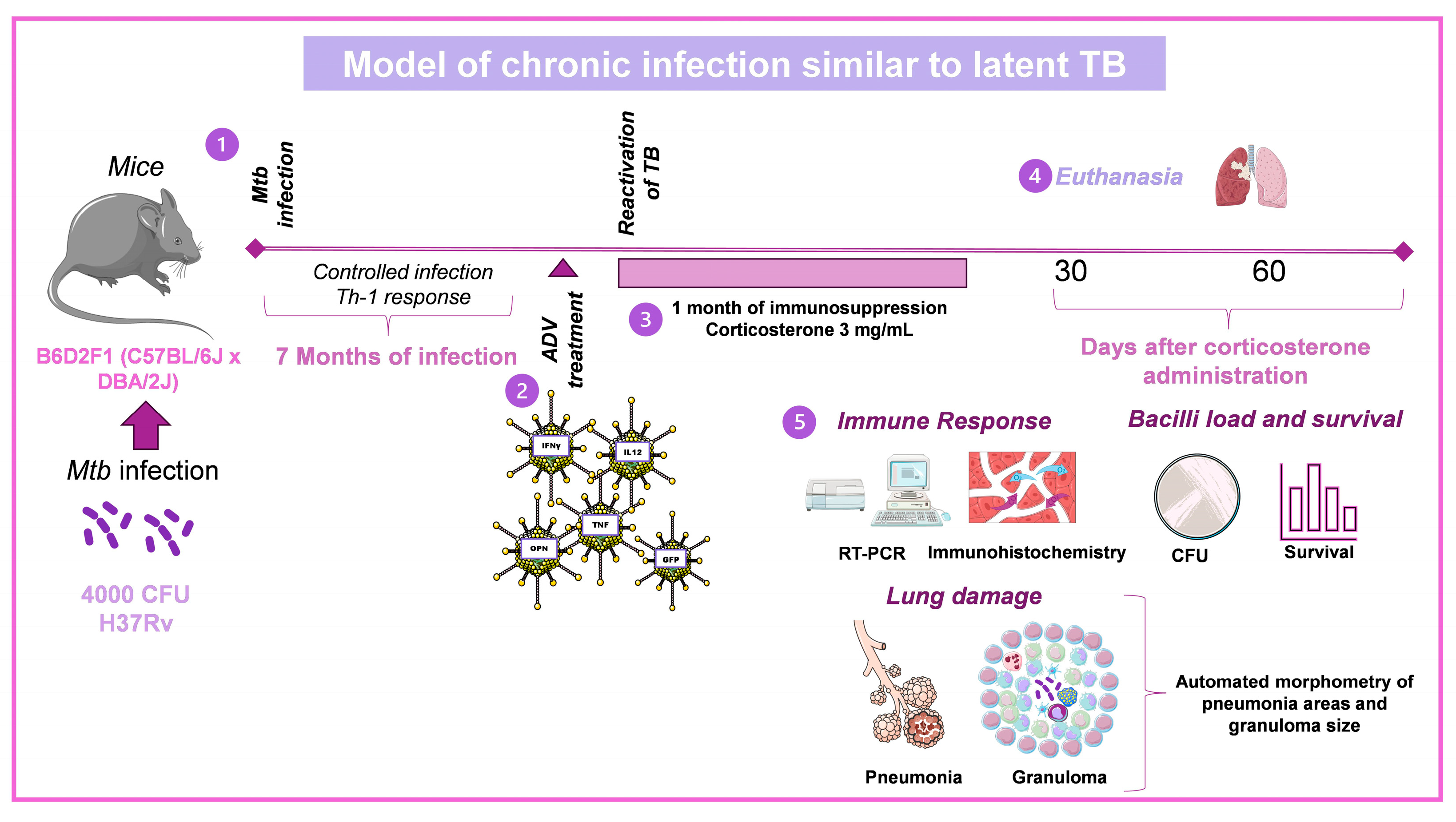 Pharmaceuticals 16 01475 g002