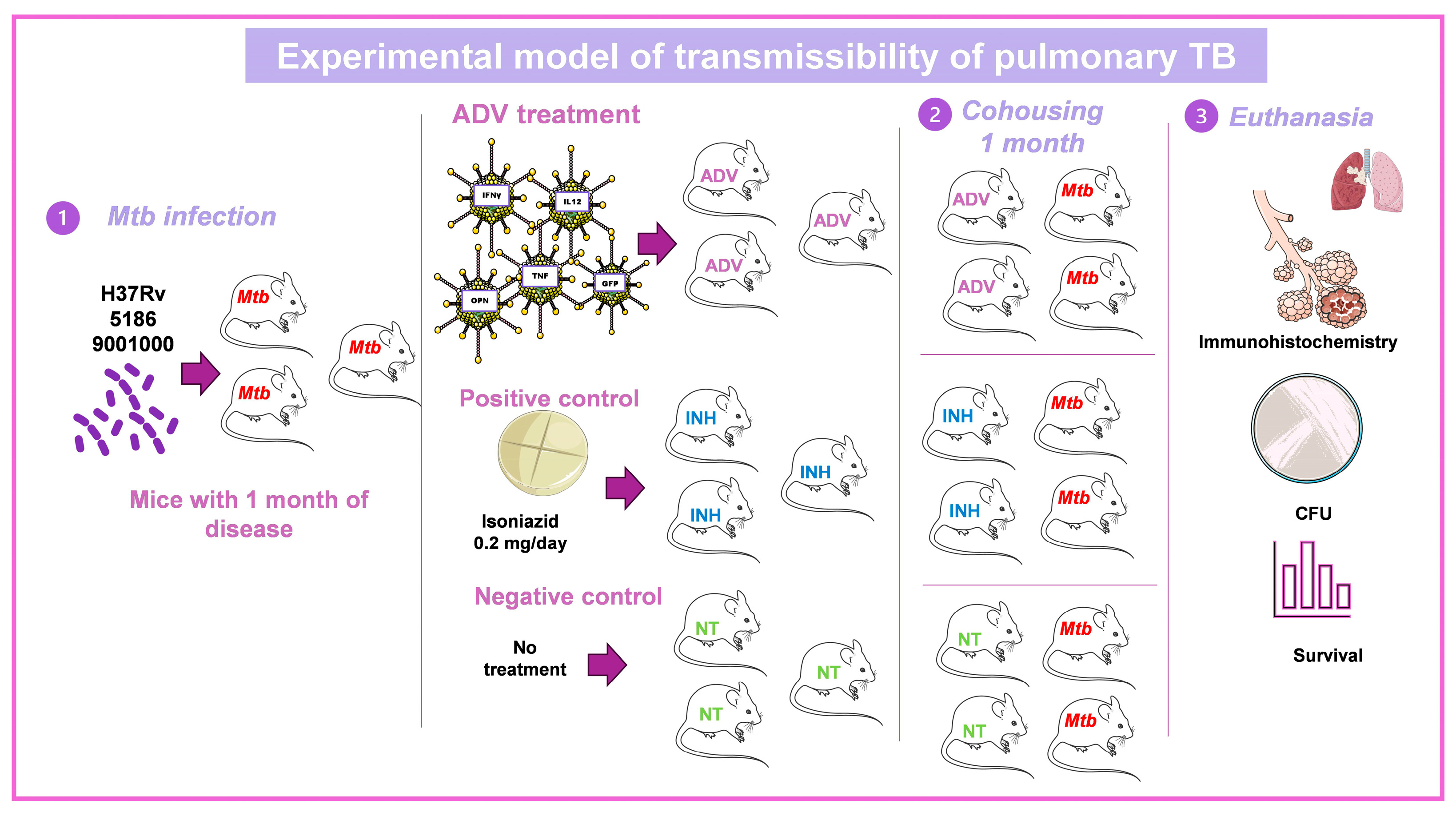Pharmaceuticals 16 01475 g003