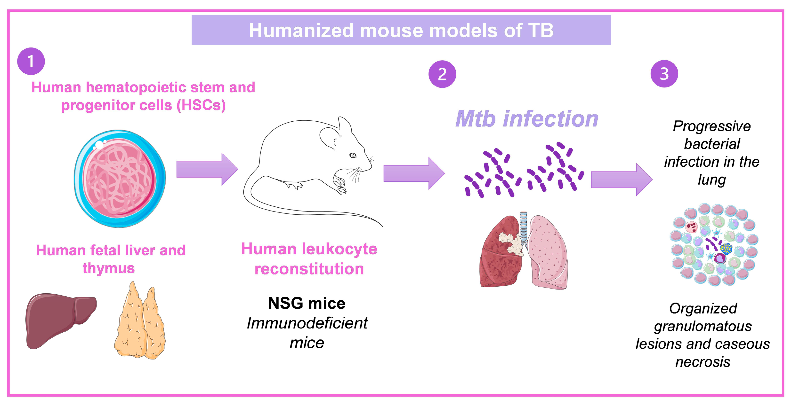 Pharmaceuticals 16 01475 g004