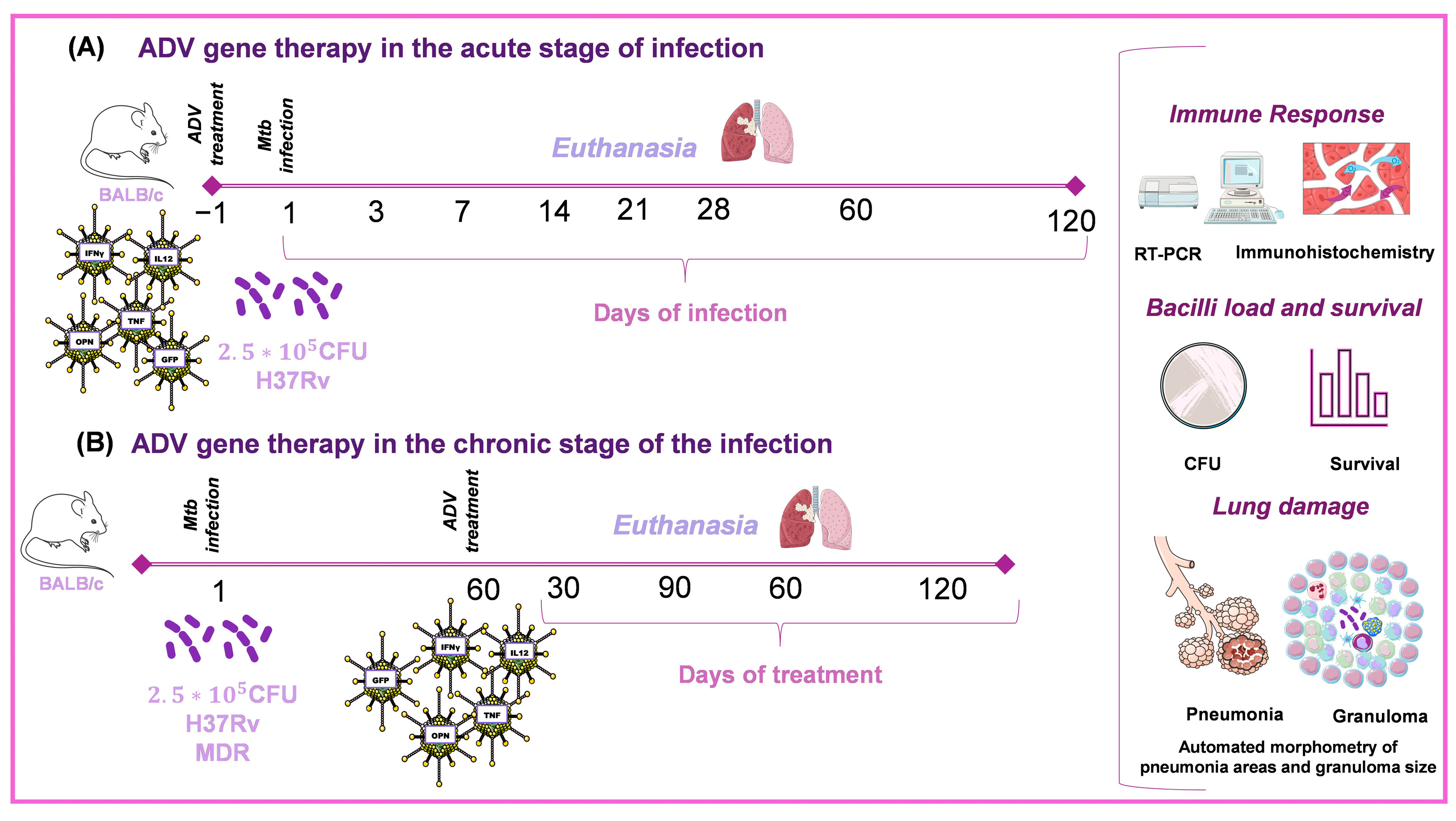 Pharmaceuticals 16 01475 g006