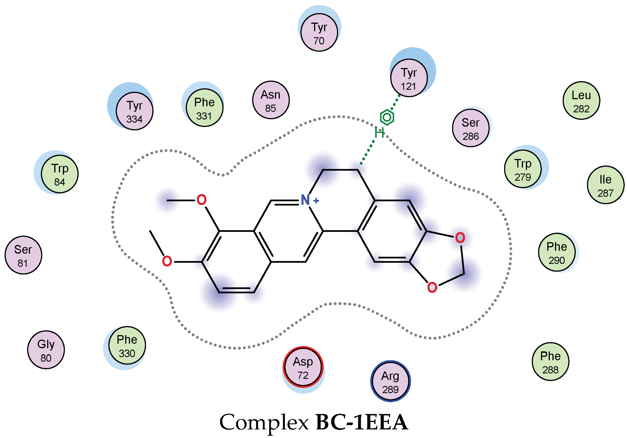 Pharmaceuticals 16 01476 g007b