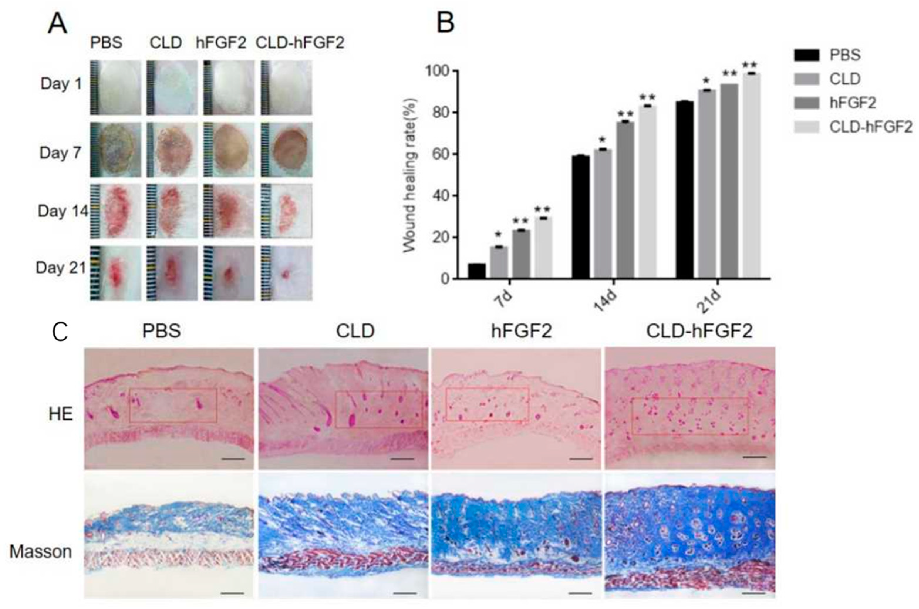 Pharmaceuticals 16 01492 g006