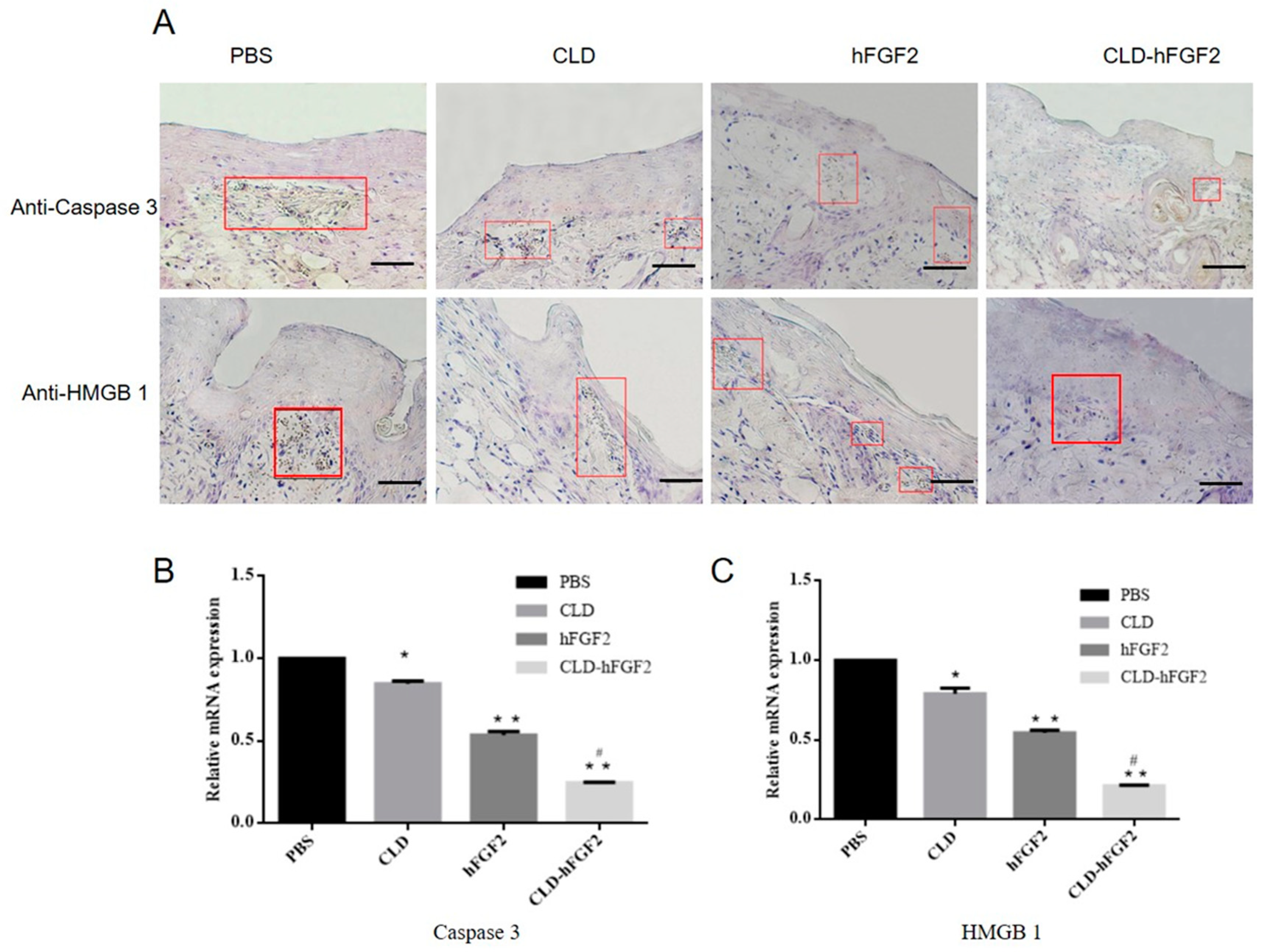 Pharmaceuticals 16 01492 g007