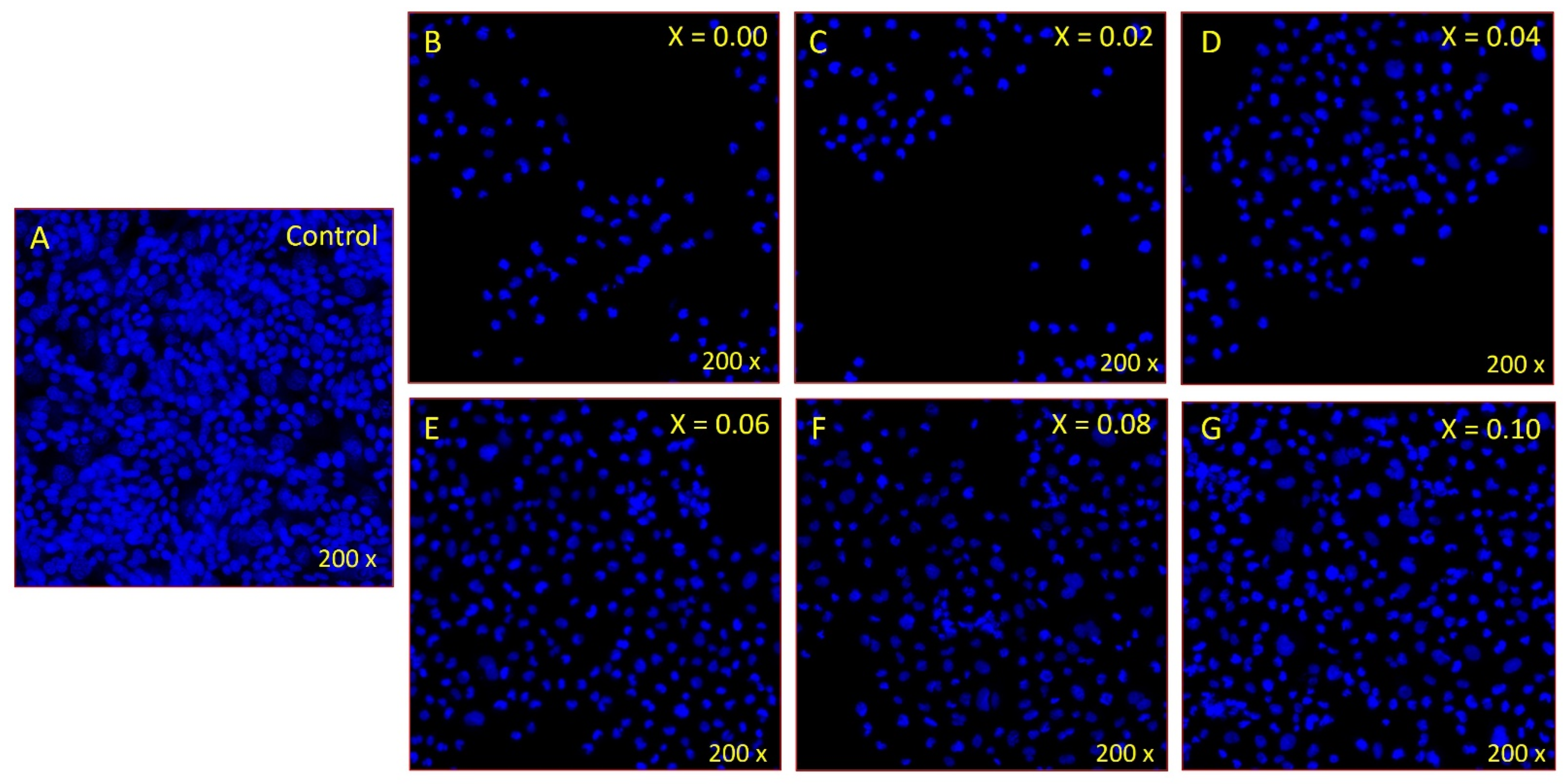 Pharmaceuticals 16 01494 g009