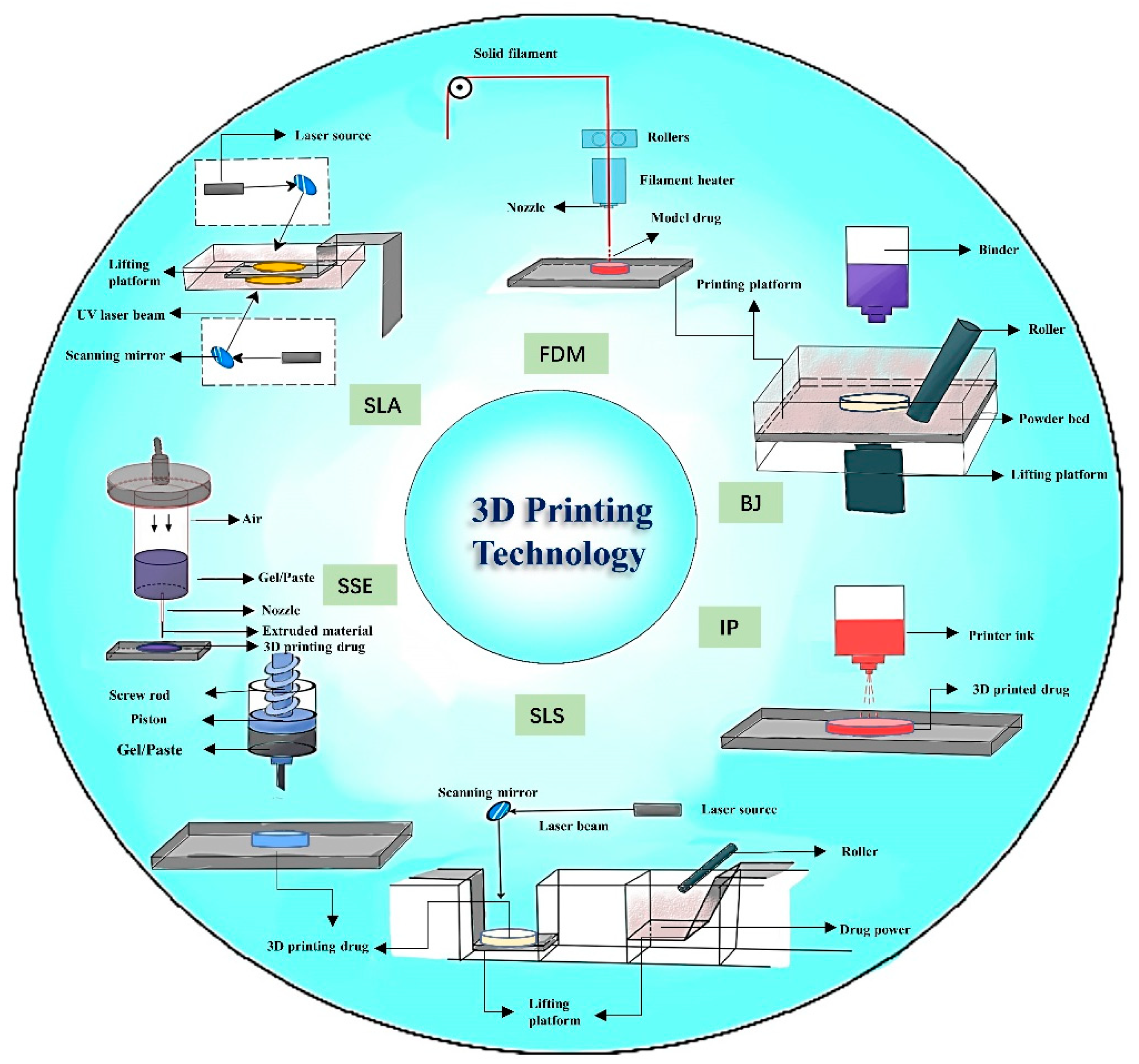 Pharmaceuticals 16 01521 g007