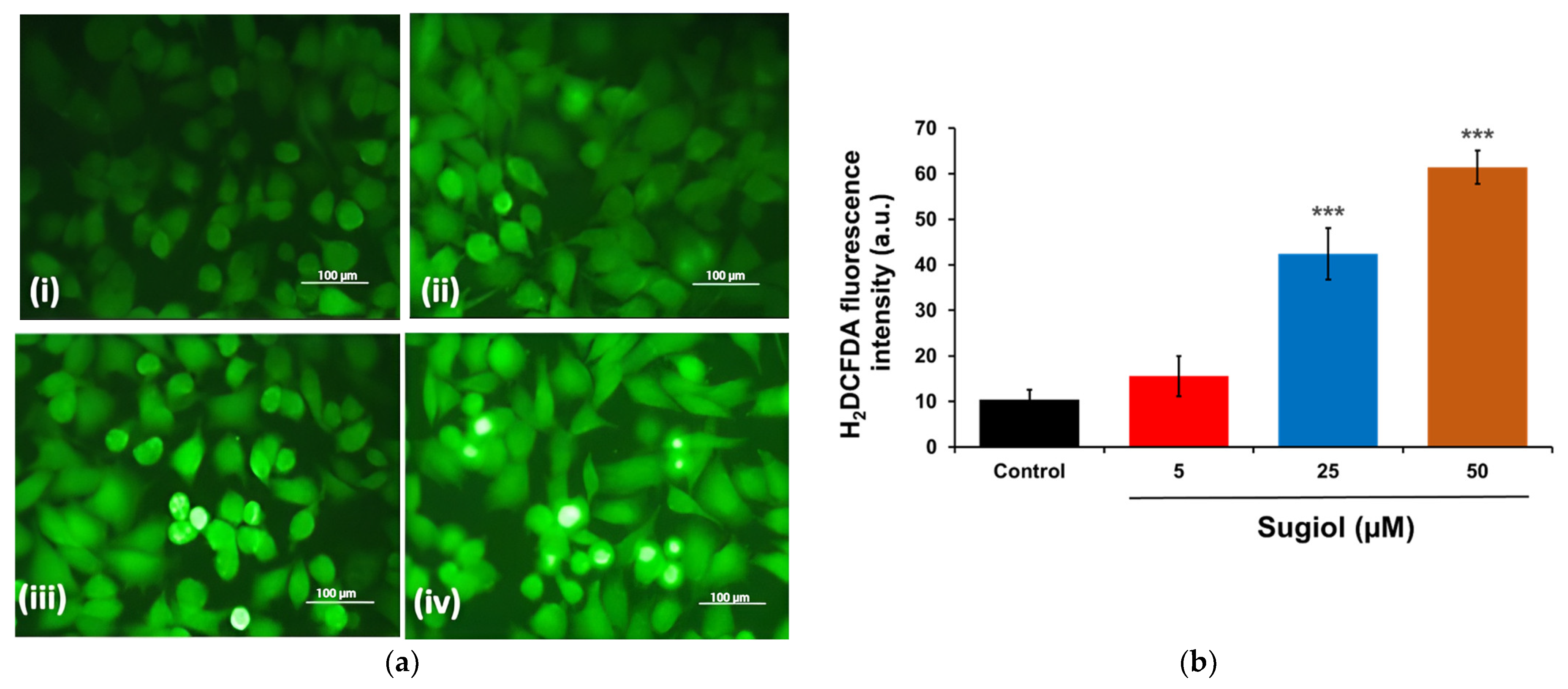 Pharmaceuticals 16 01528 g003
