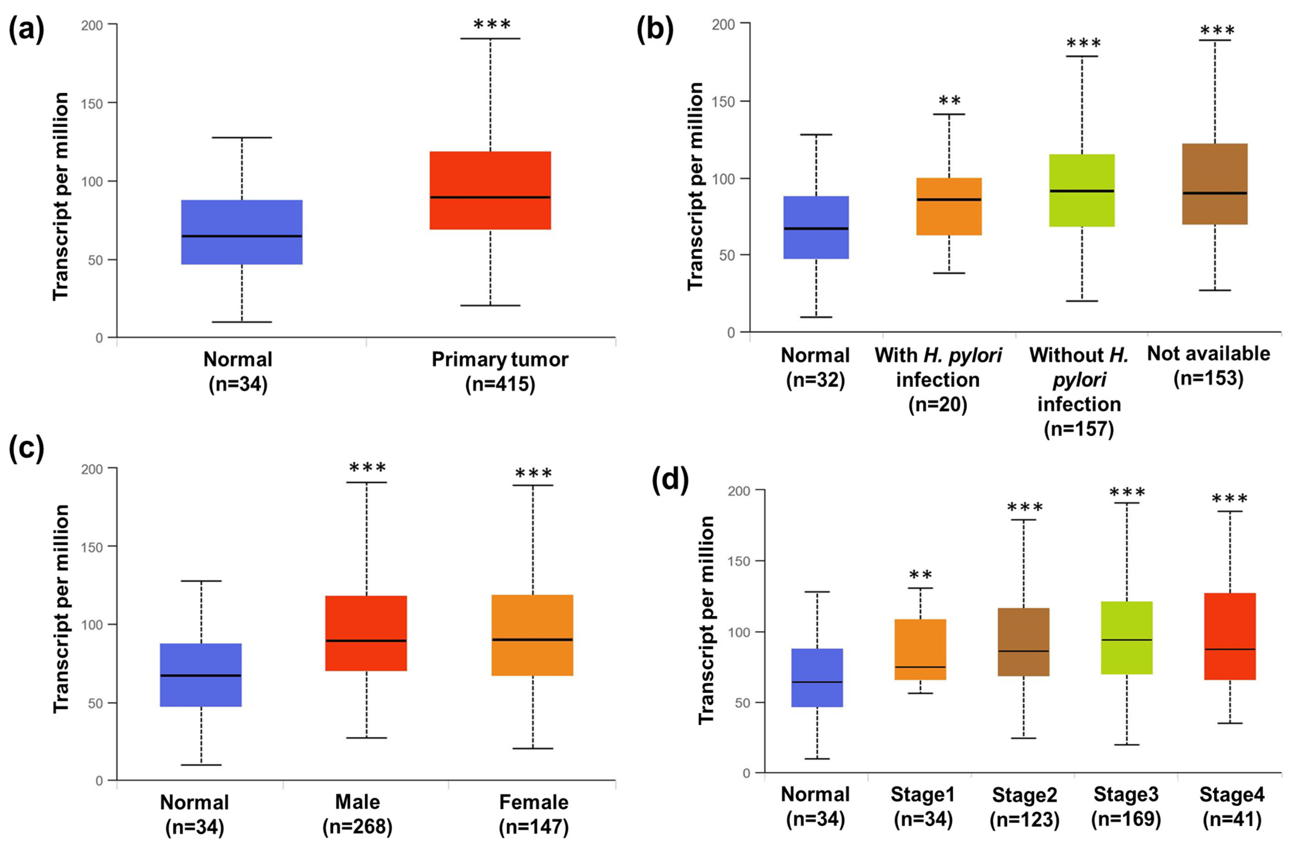 Pharmaceuticals 16 01528 g009
