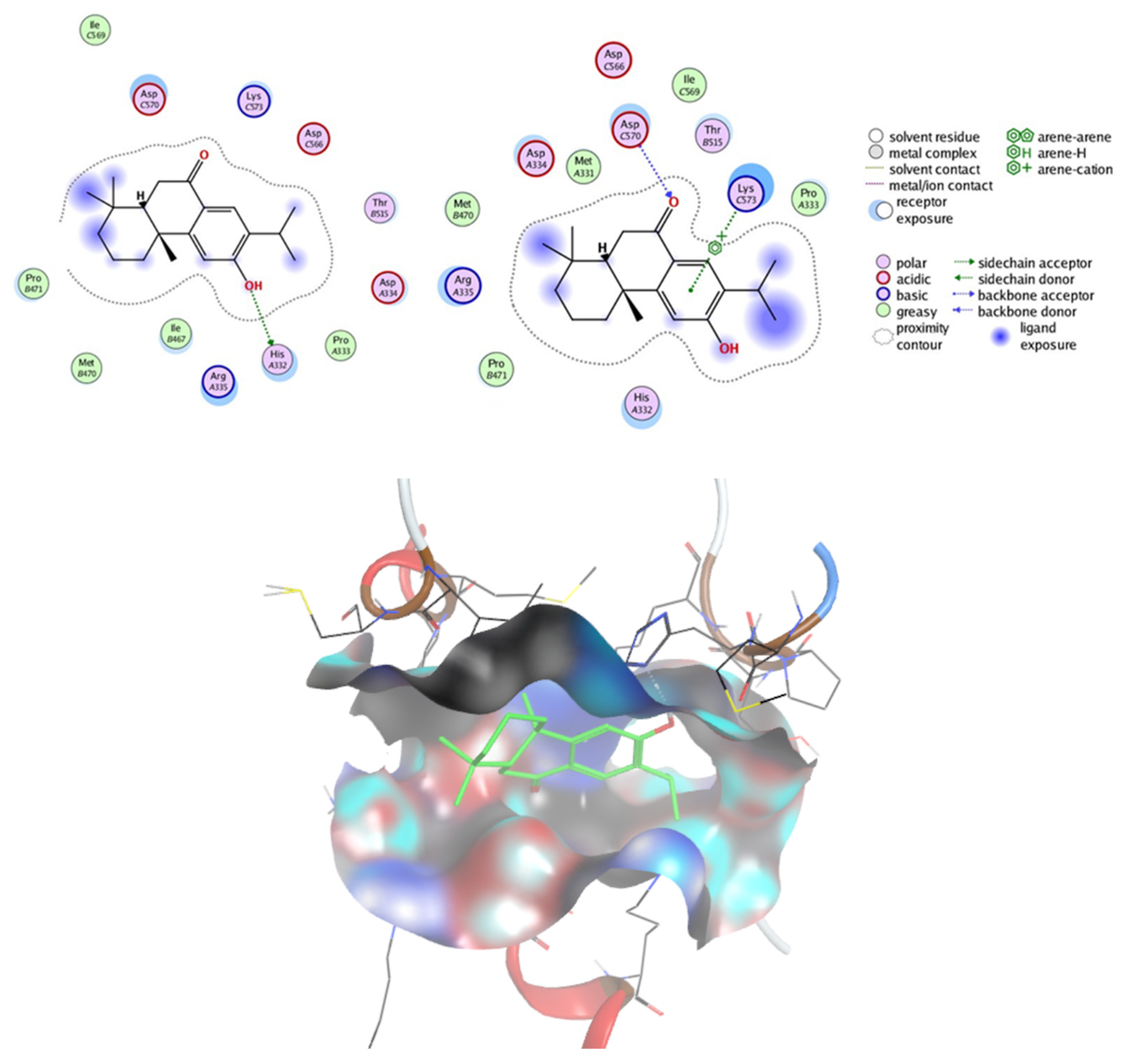 Pharmaceuticals 16 01528 g011