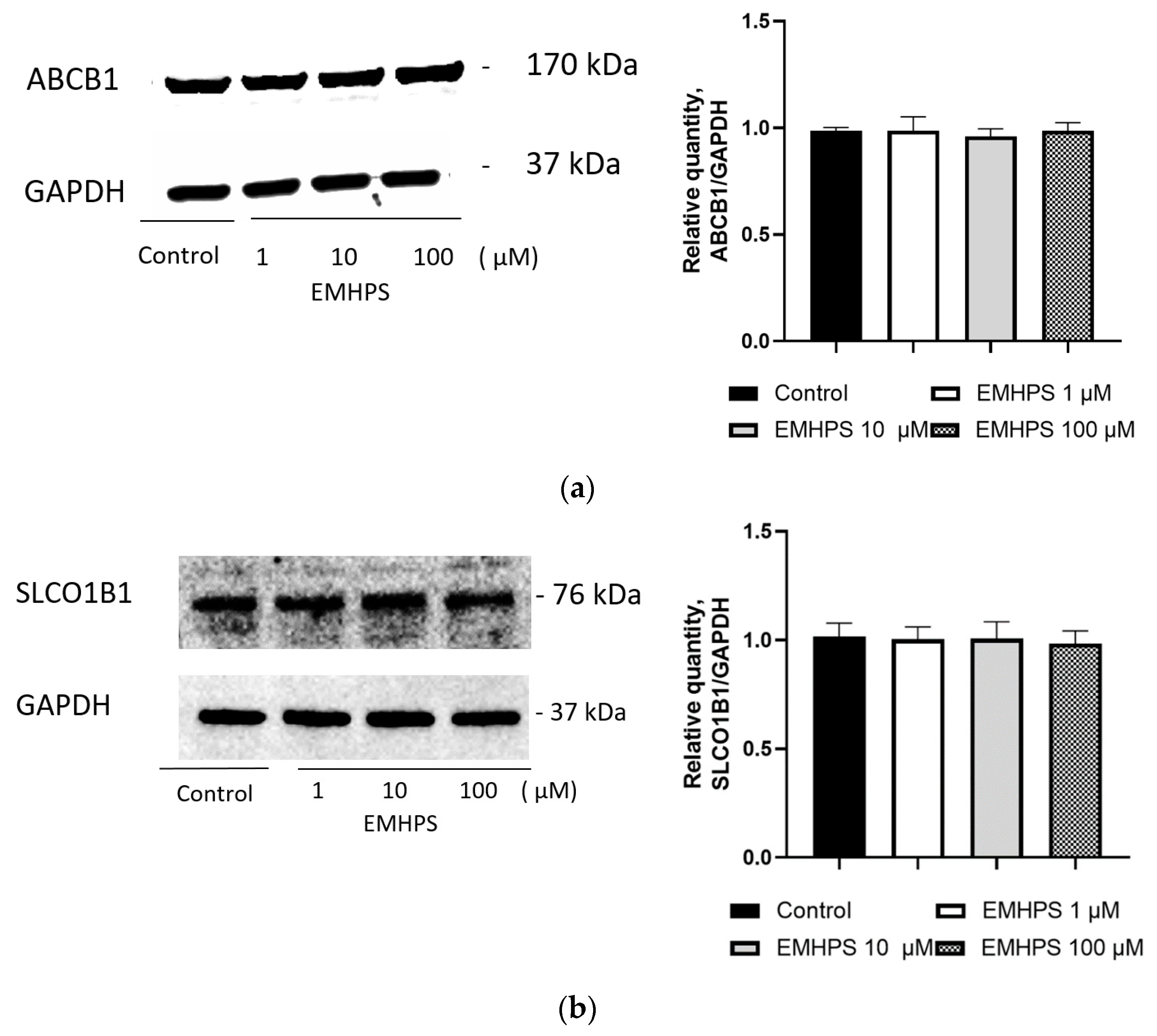 Pharmaceuticals 16 01529 g006